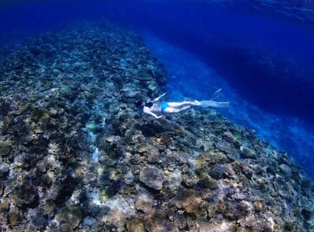 Okinawa: Blue Cave Freediving Tour with GoPro Photos