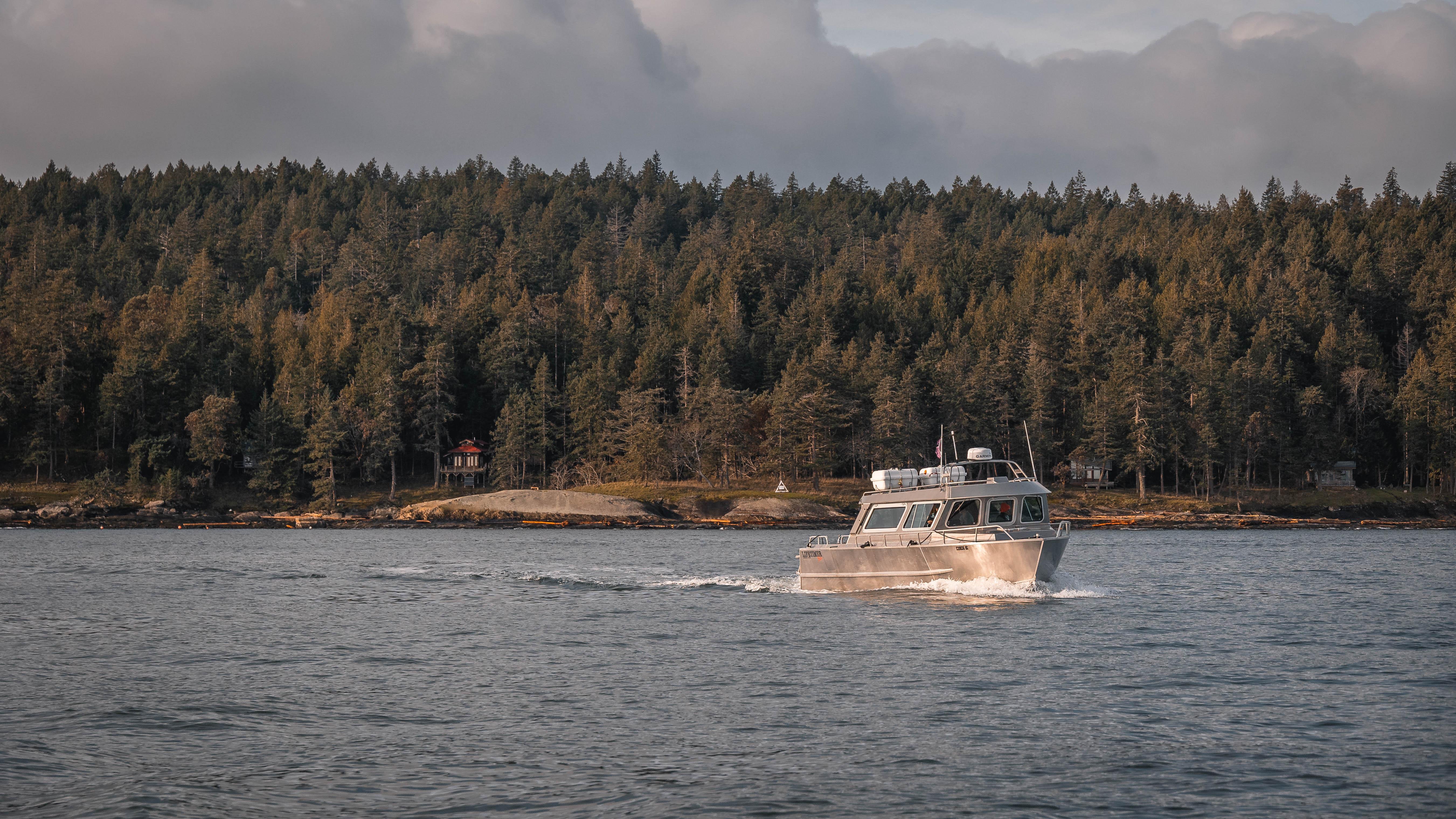 Nanaimo Whale Watching Adventure