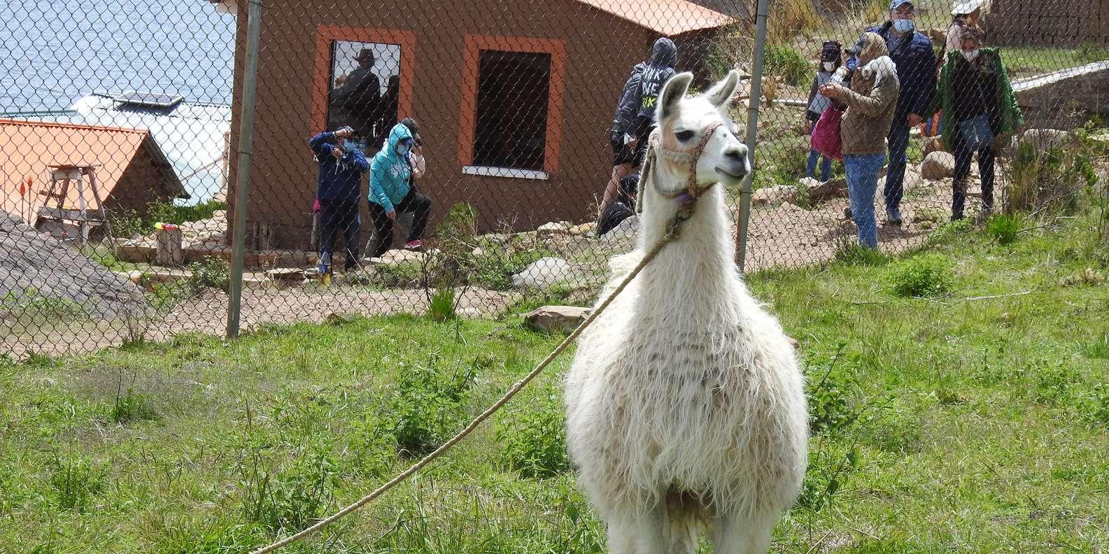 Full-Day Lake Titicaca & Island of the Sun Escape from La Paz
