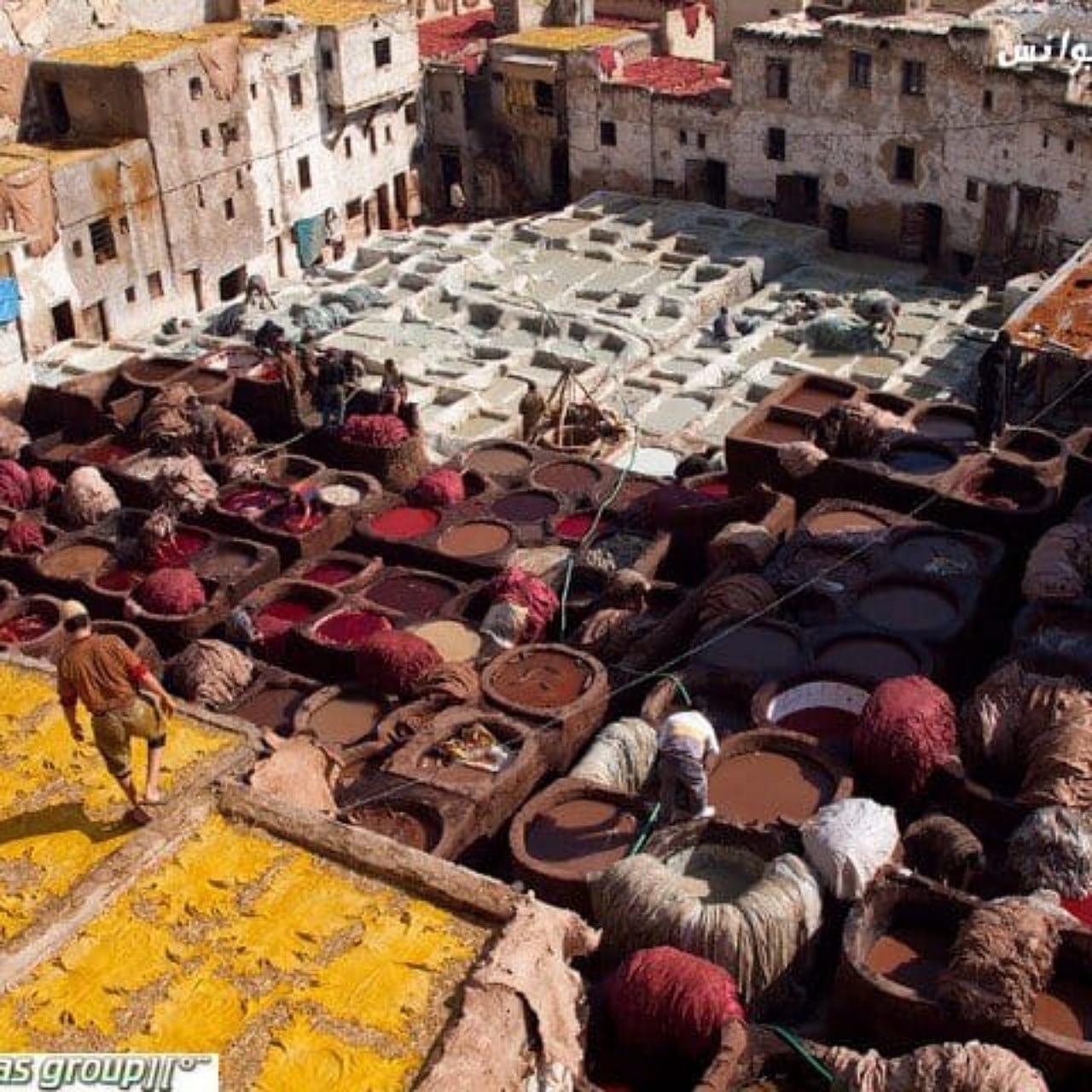 Fez Historic Medina Guided Walking Exploration