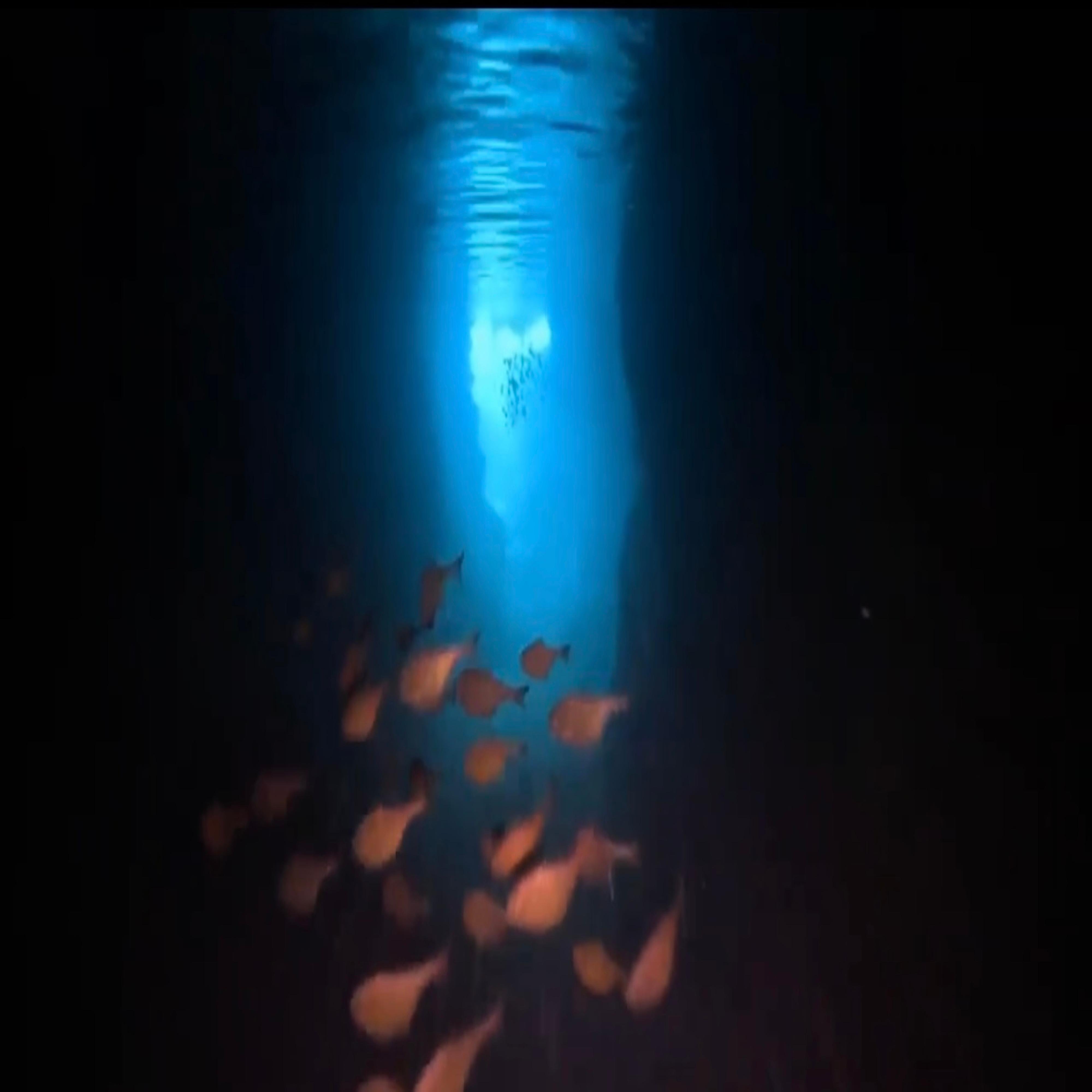 Okinawa: Blue Cave Scuba Diving Tour with GoPro Photos