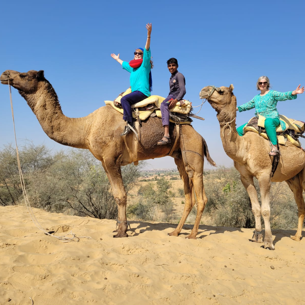 Jodhpur: Thar Desert Camel & Jeep Safari with Traditional Dining