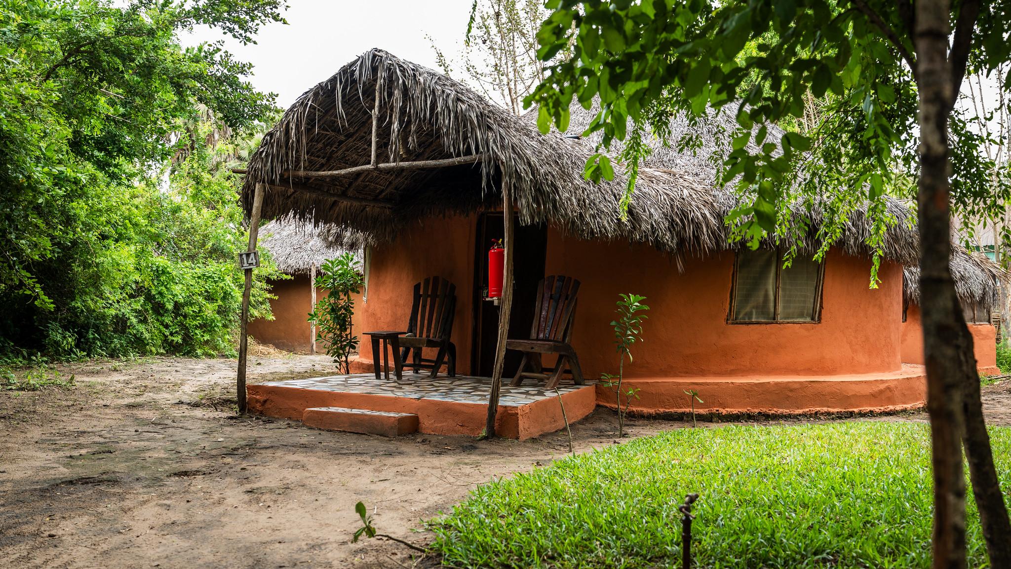 Zanzibar to Selous: 3-Day Safari & River Adventure
