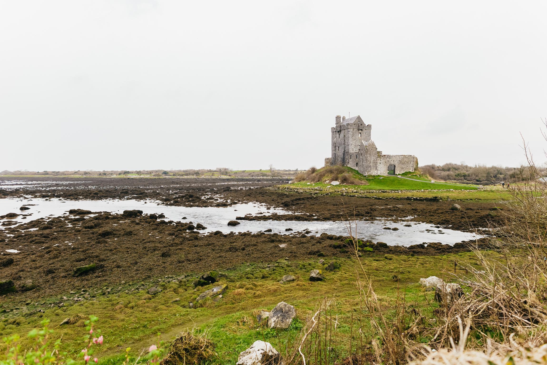 Cliffs of Moher & The Burren Full-Day Tour from Galway