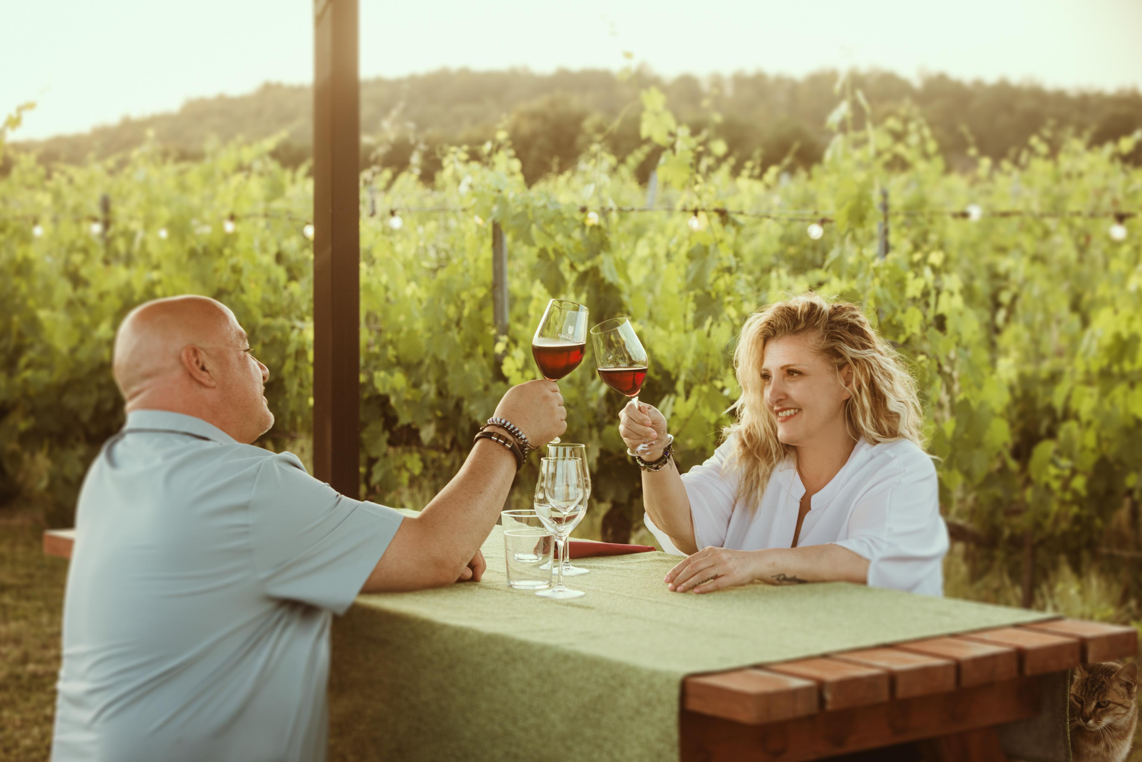 Montepulciano Winery Tour with Tasting & Vineyard Meal