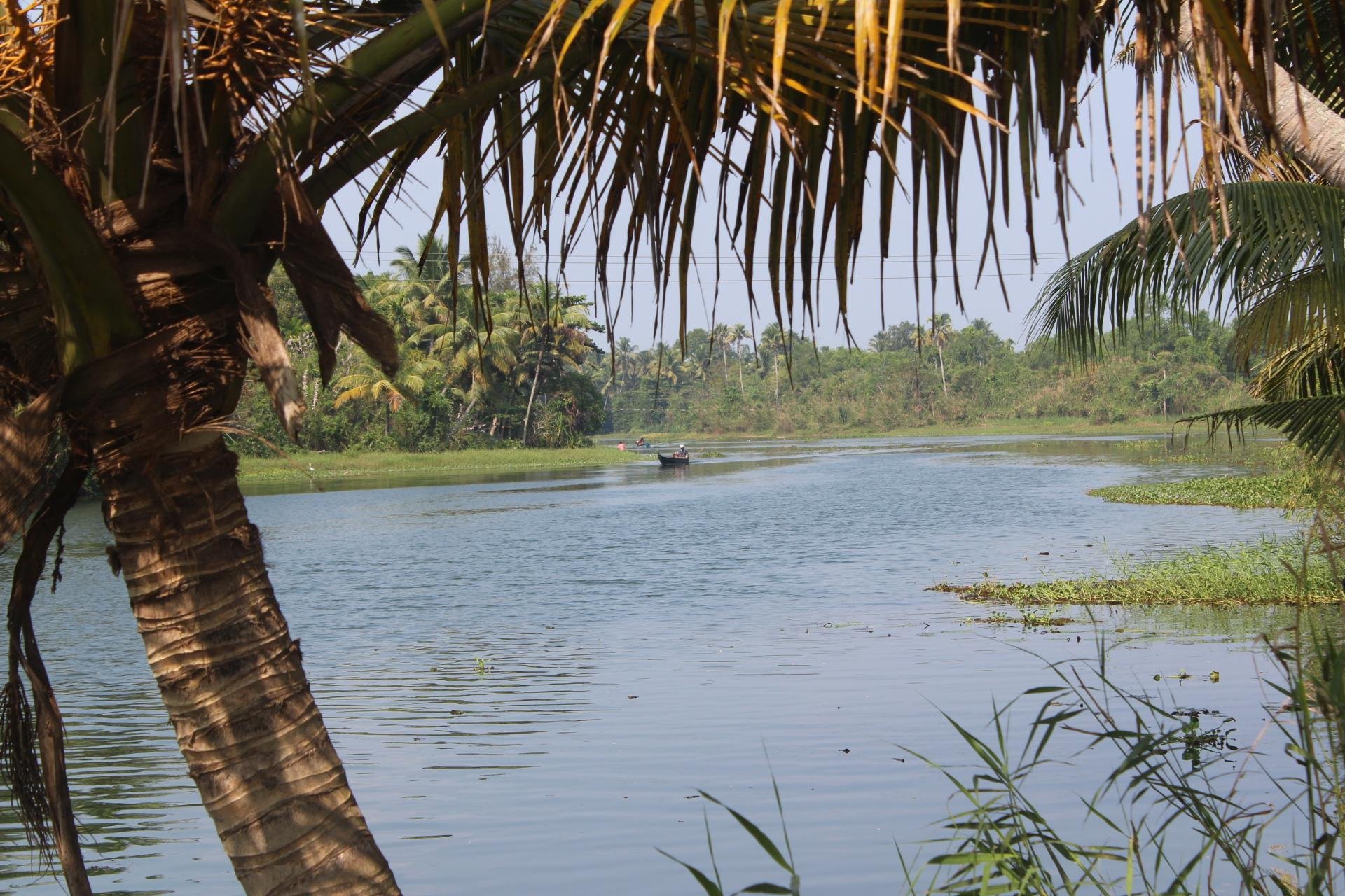 Kochi Backwater Village Immersion with Traditional Sadya Lunch