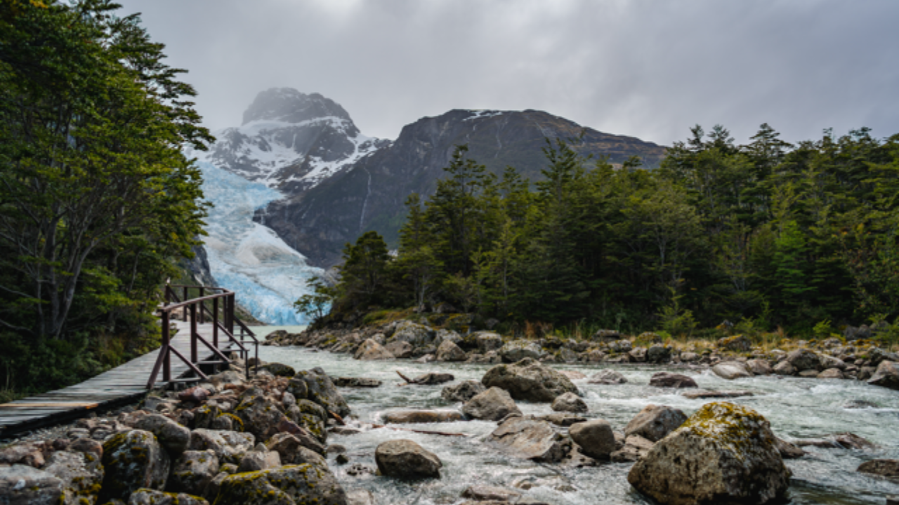 Glacier Expedition: Balmaceda & Serrano Boat Tour