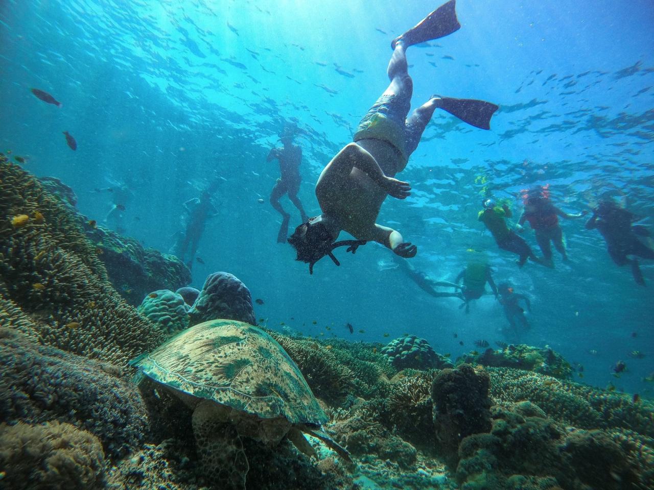 Ras Mohamed & White Island Full-Day Snorkel, Dive & Cruise from Sharm