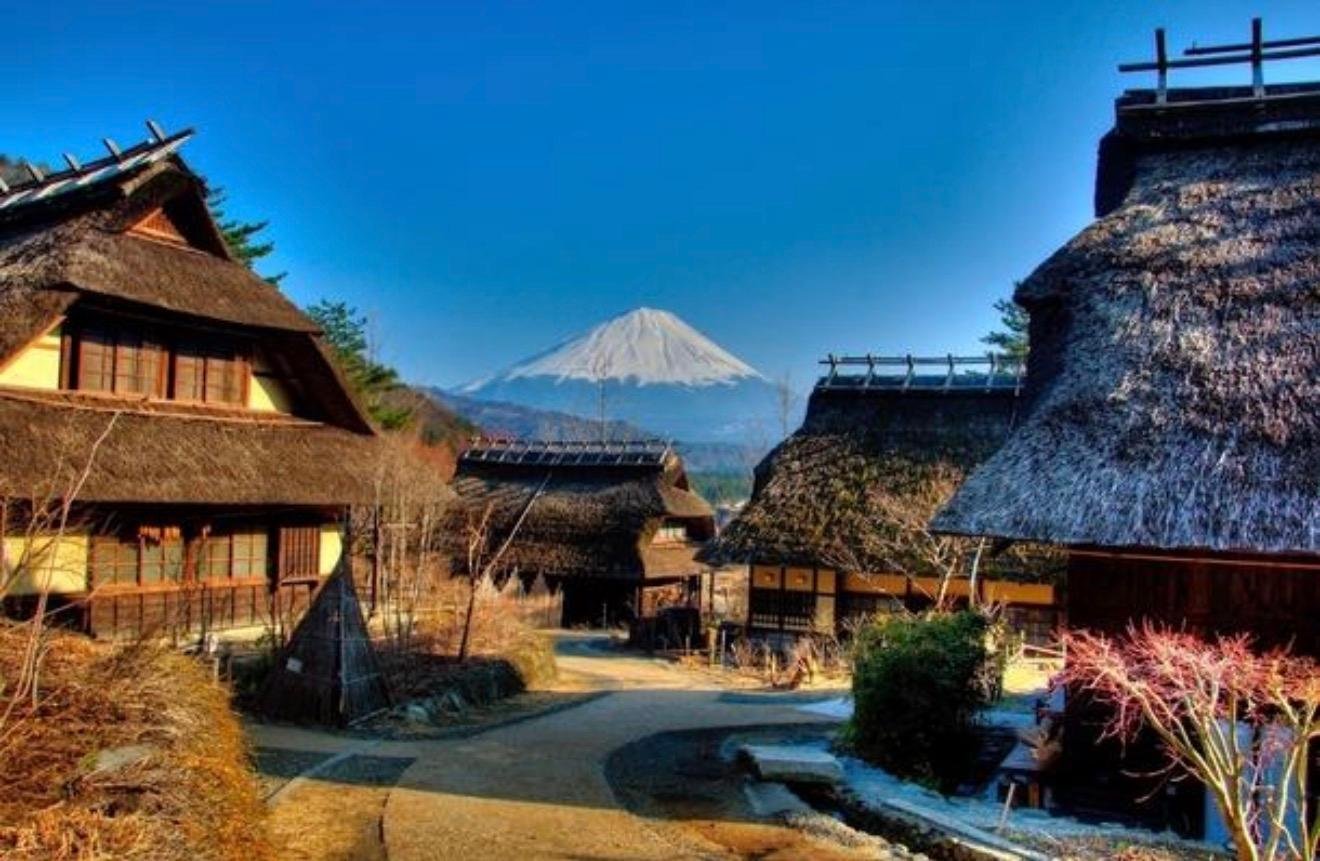Customizable Mount Fuji Private Day Trip from Tokyo