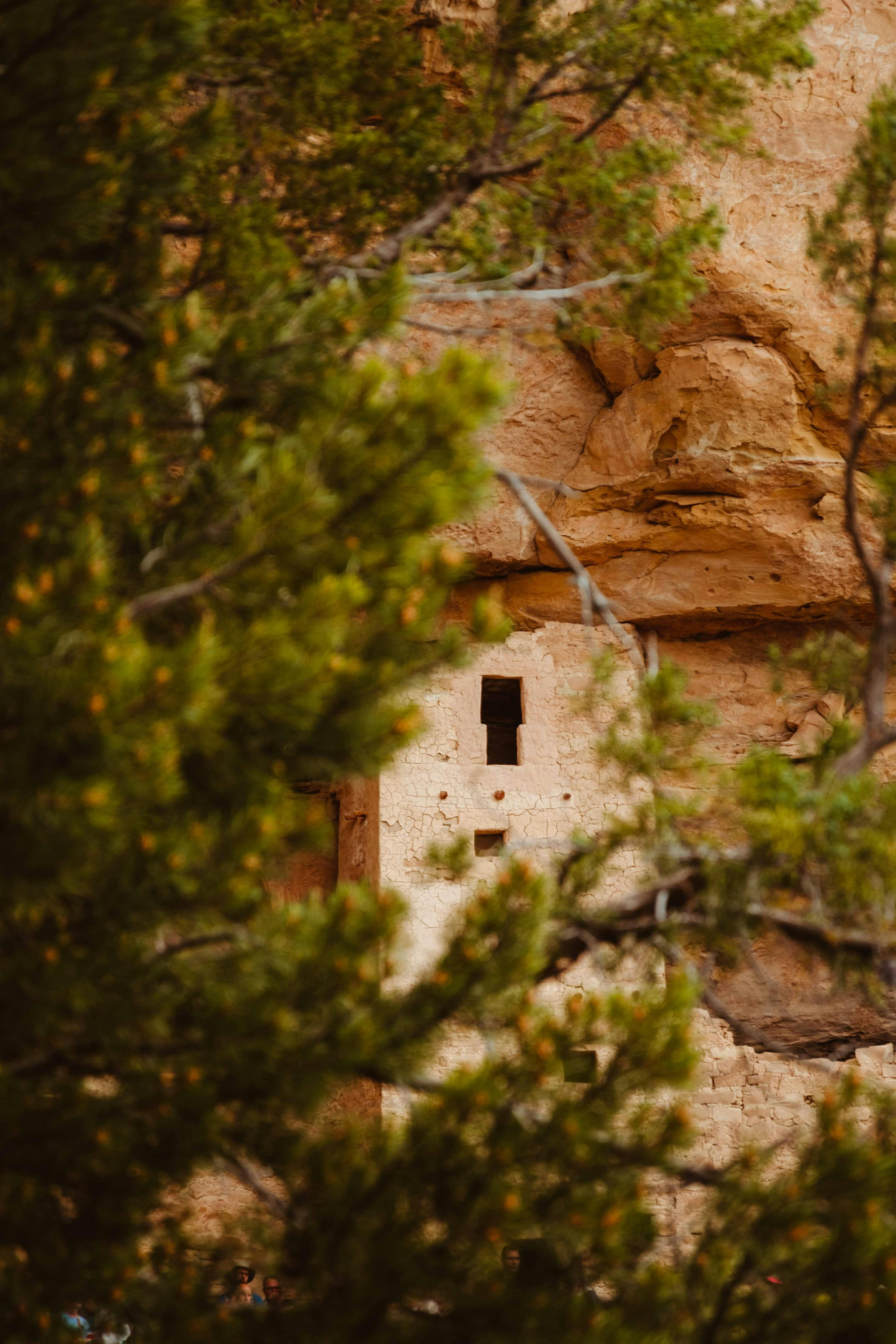 Mesa Verde Cliff Palace Expedition with Lunch