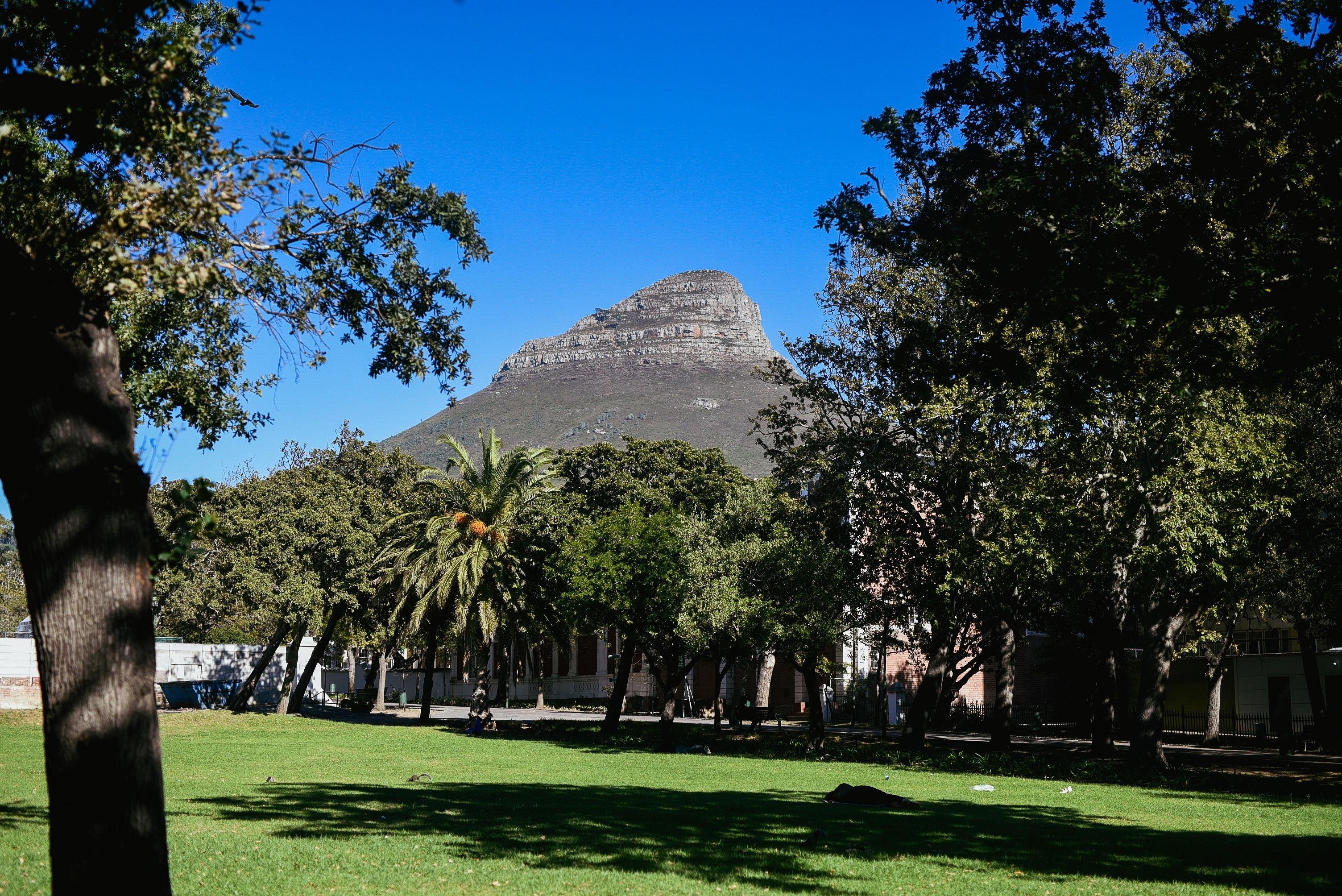 Cape Town Art, Culture & History Walking Tour