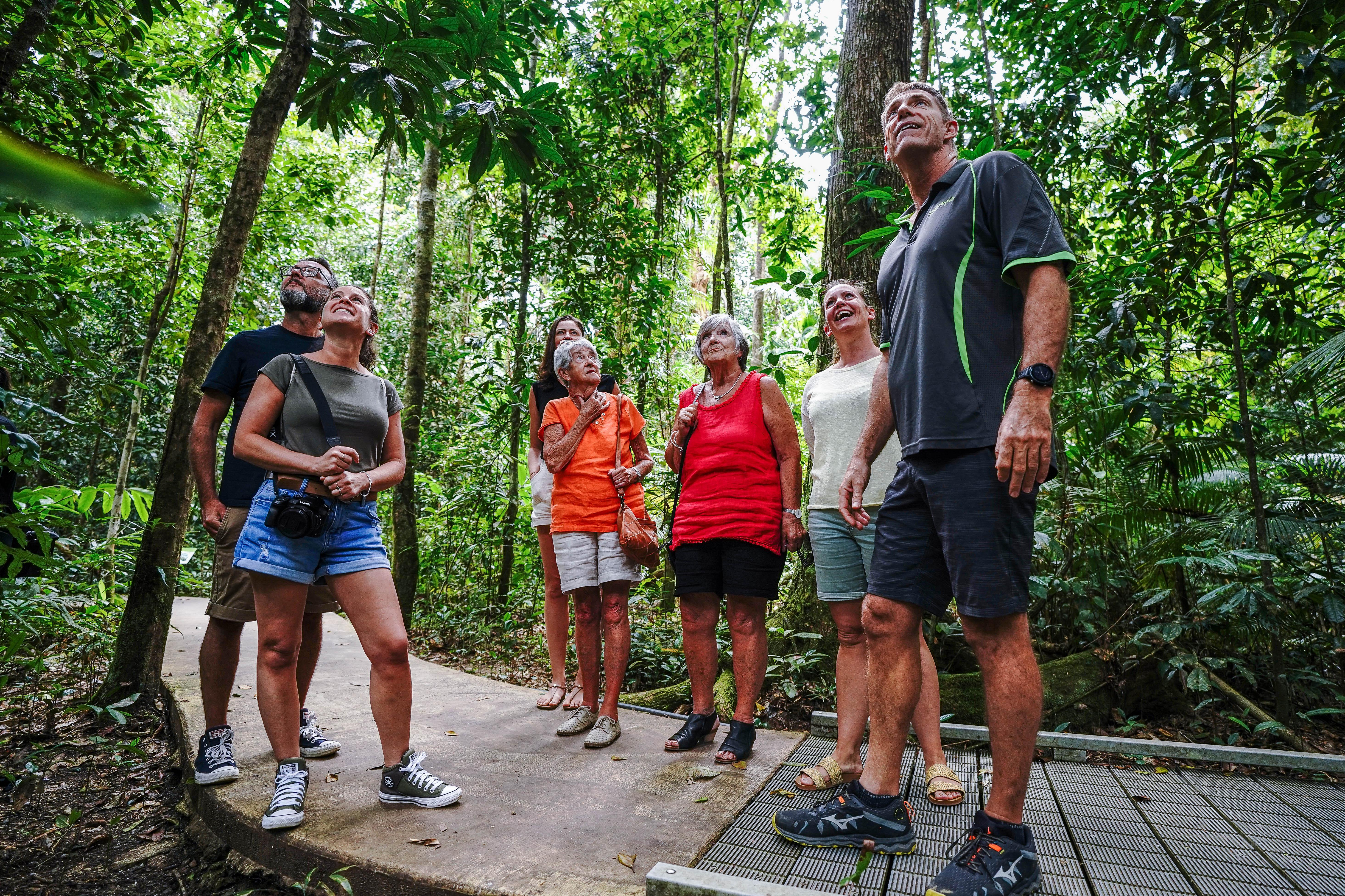 Daintree Rainforest Discovery