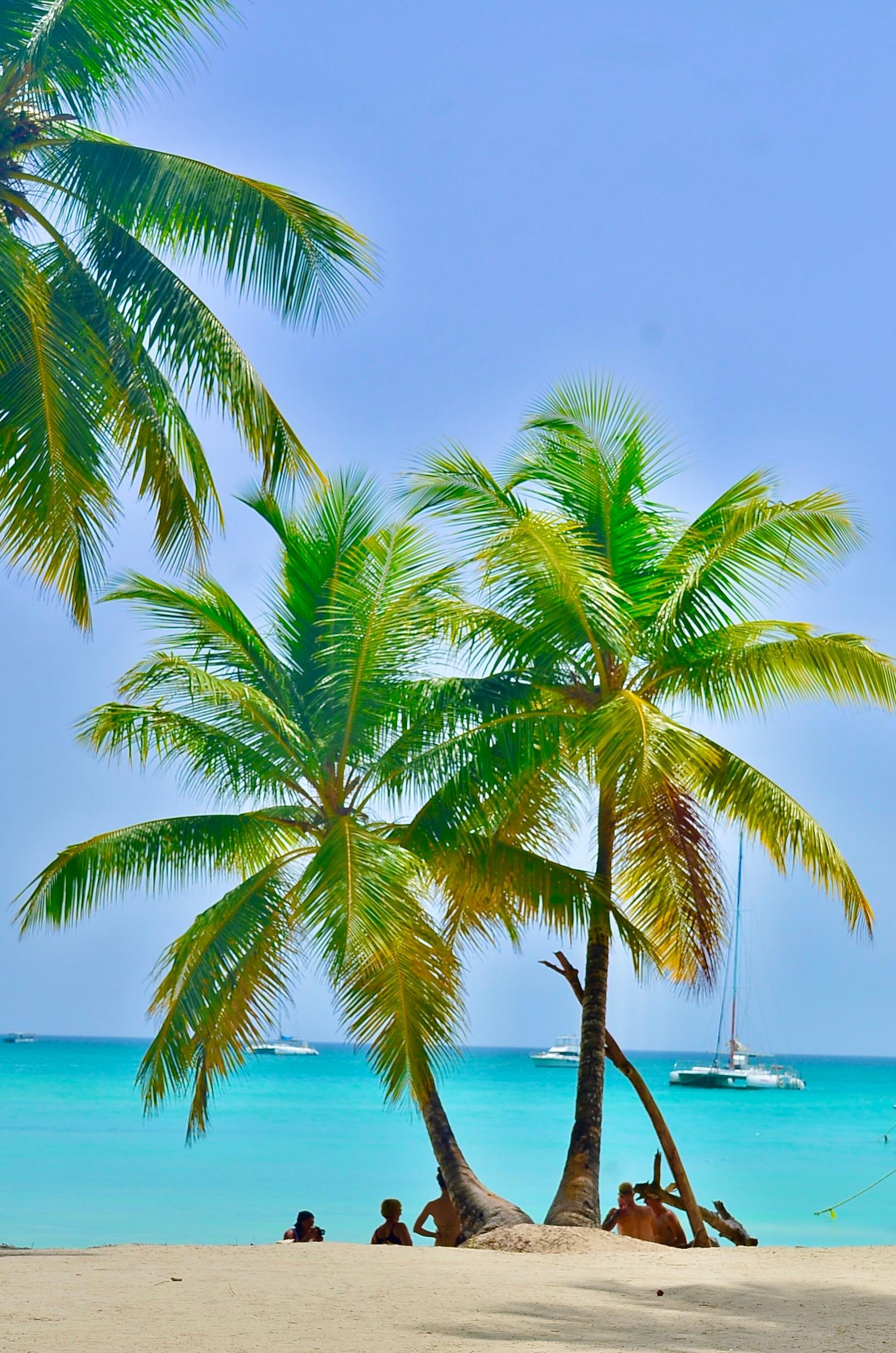 Saona Island boat tour — image 12