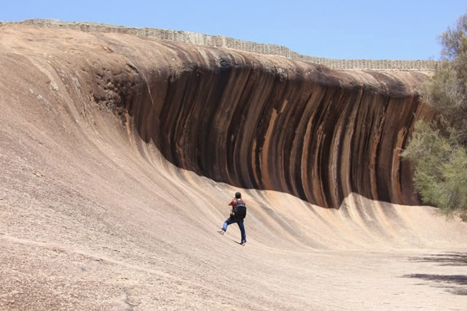 Wave Rock Scenic Flight & Ground Tour from Perth