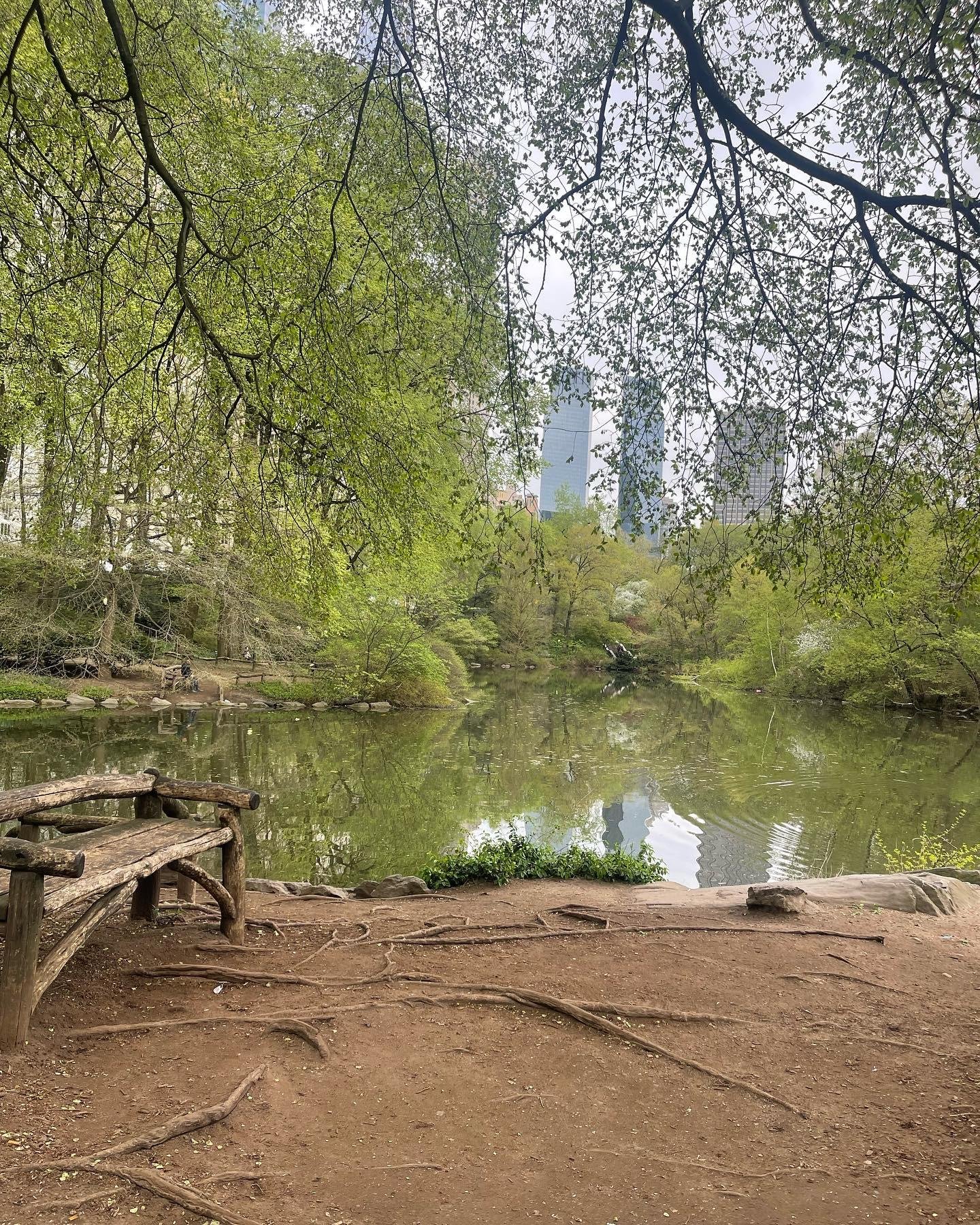 Central Park Exploration by Pedicab or Carriage