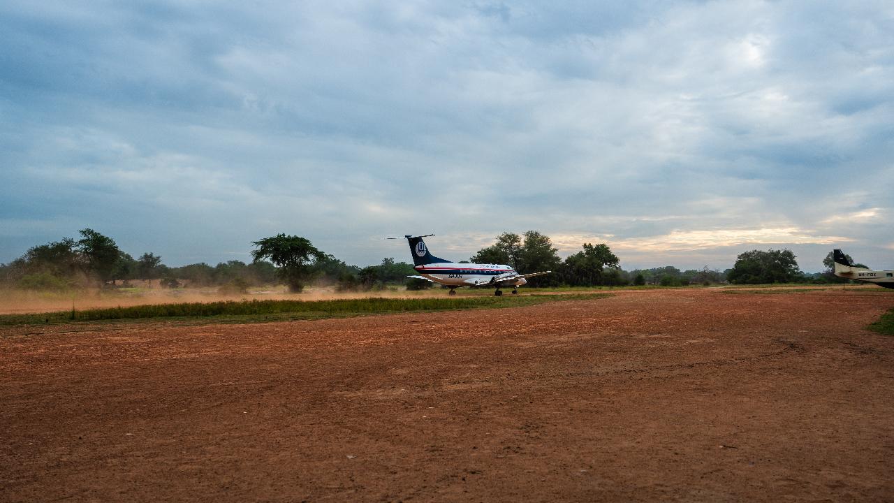 Zanzibar to Selous: Full-Day Safari with Bush Lunch (+ 2-Day Option)