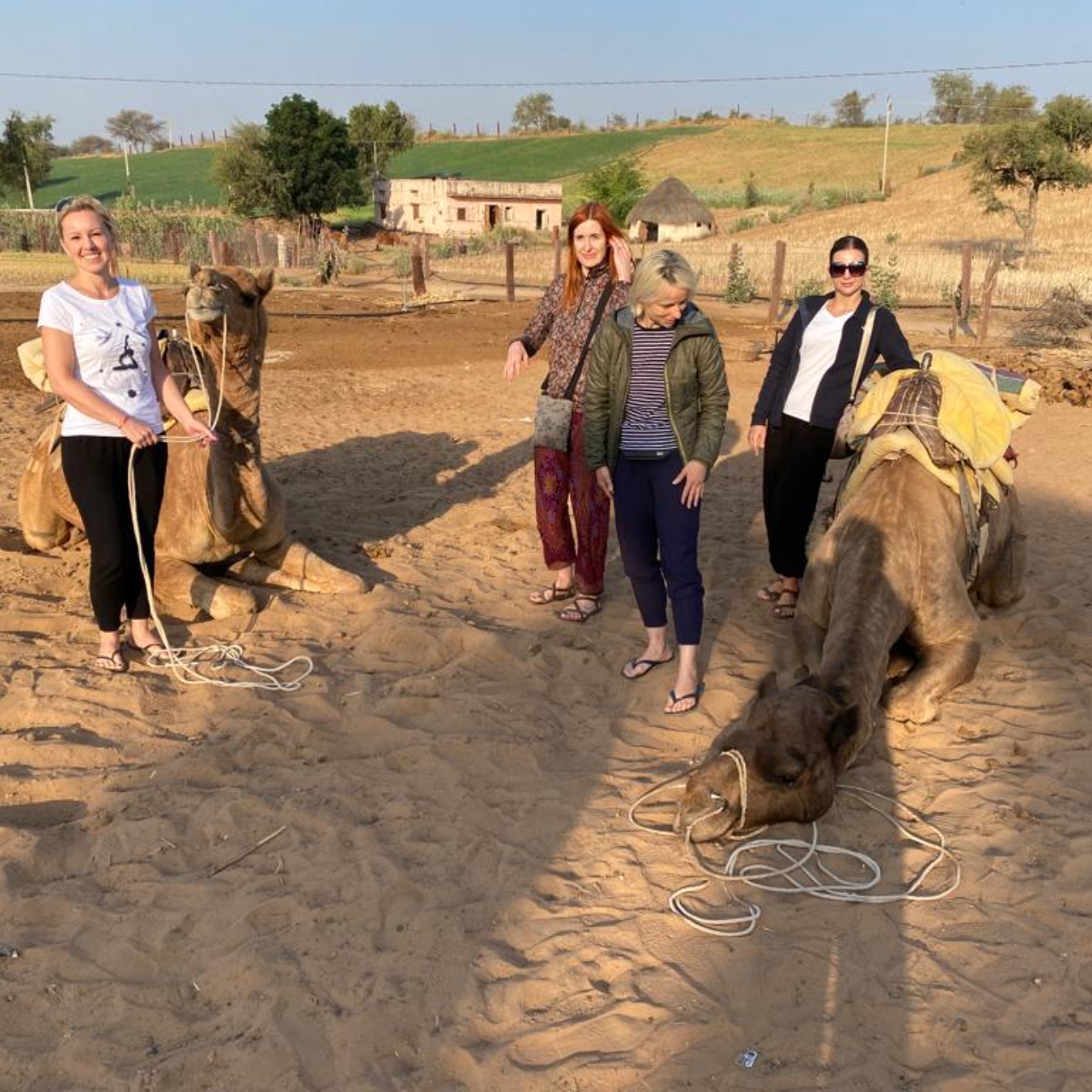 Thar Desert Overnight Camel Safari & Village Stay