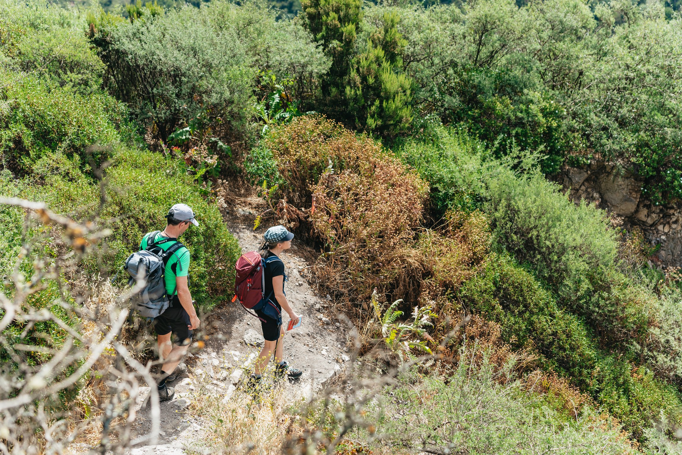 La Gomera Island Full-Day Expedition from South Tenerife