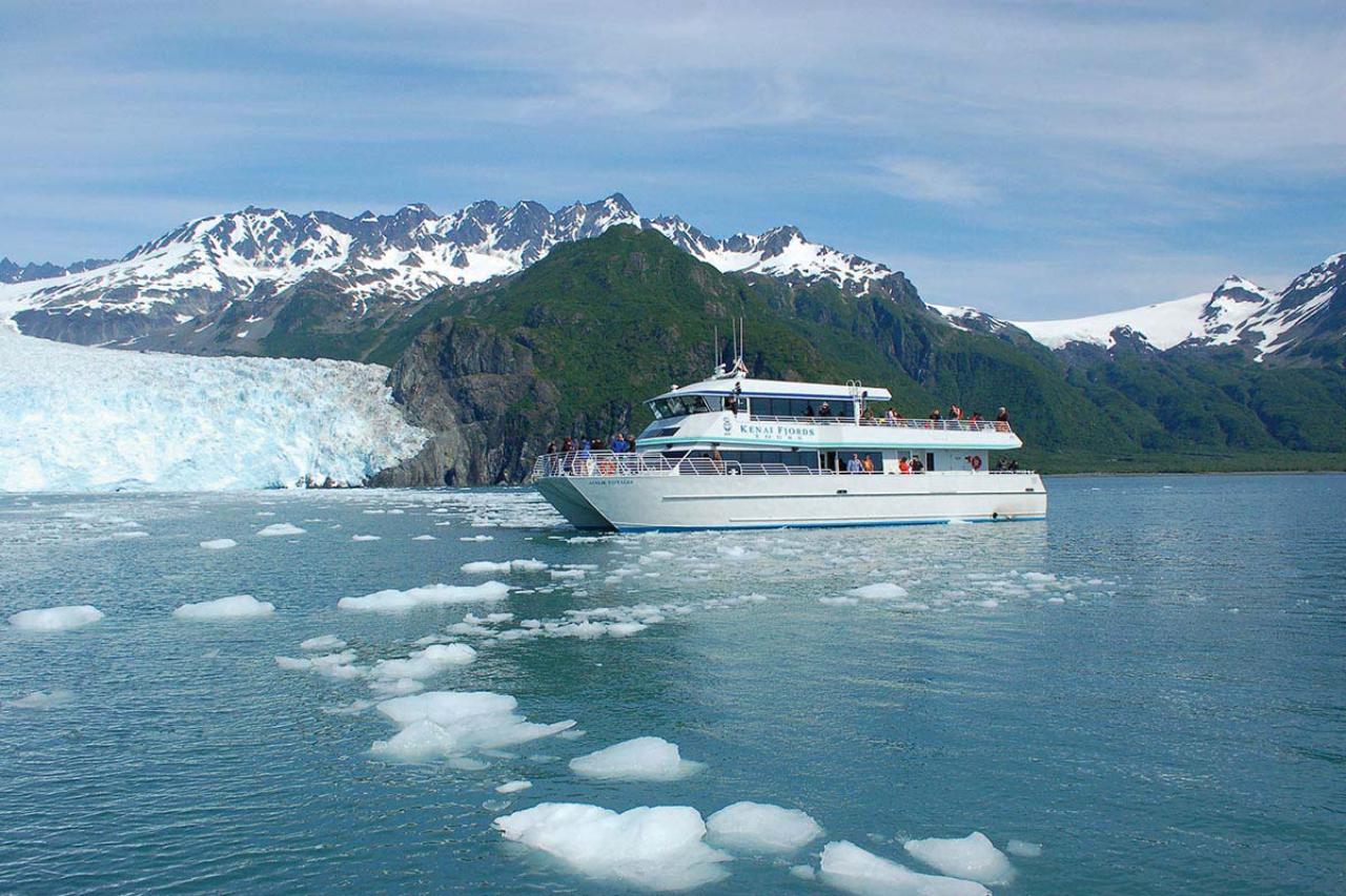 Seward: Kenai Fjords National Park Glacier & Wildlife Cruise