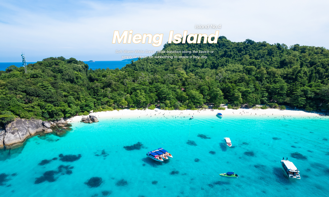 Similan Islands Speedboat Day Trip from Phuket or Khaolak