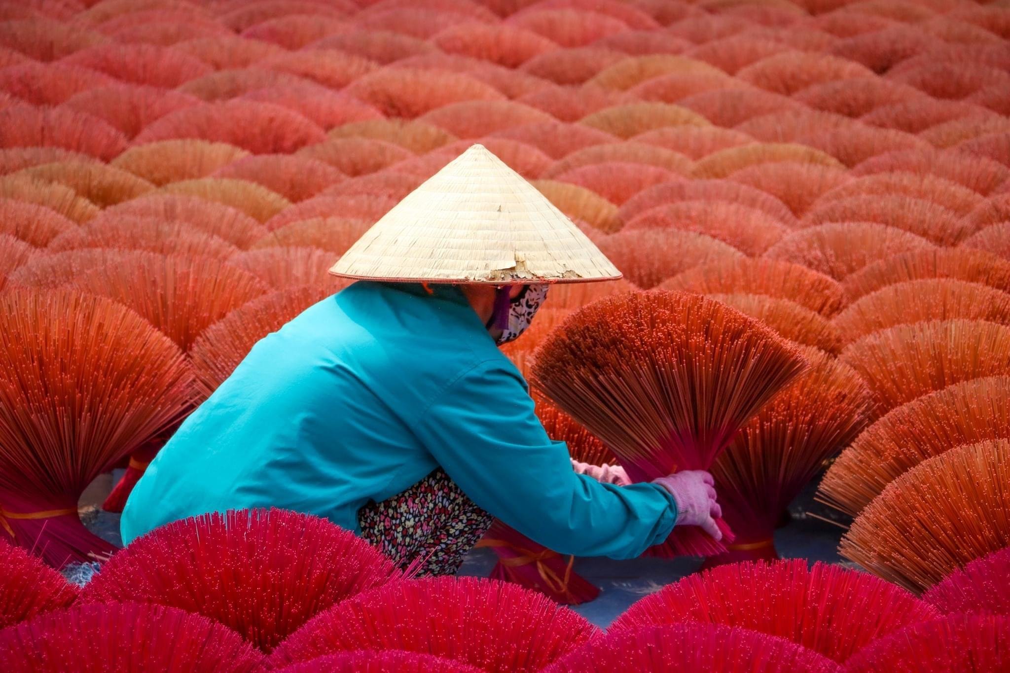 Hue Imperial City & Hai Van Pass Private Rail Tour
