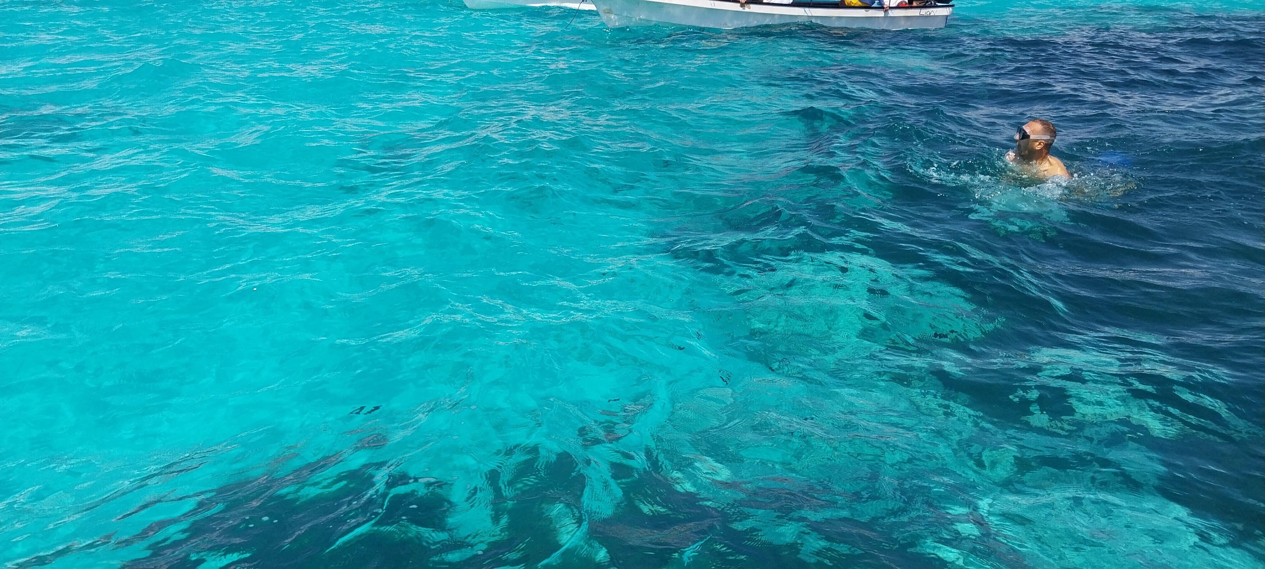 Zanzibar: Mnemba Island Dolphin Swim & Snorkel Adventure
