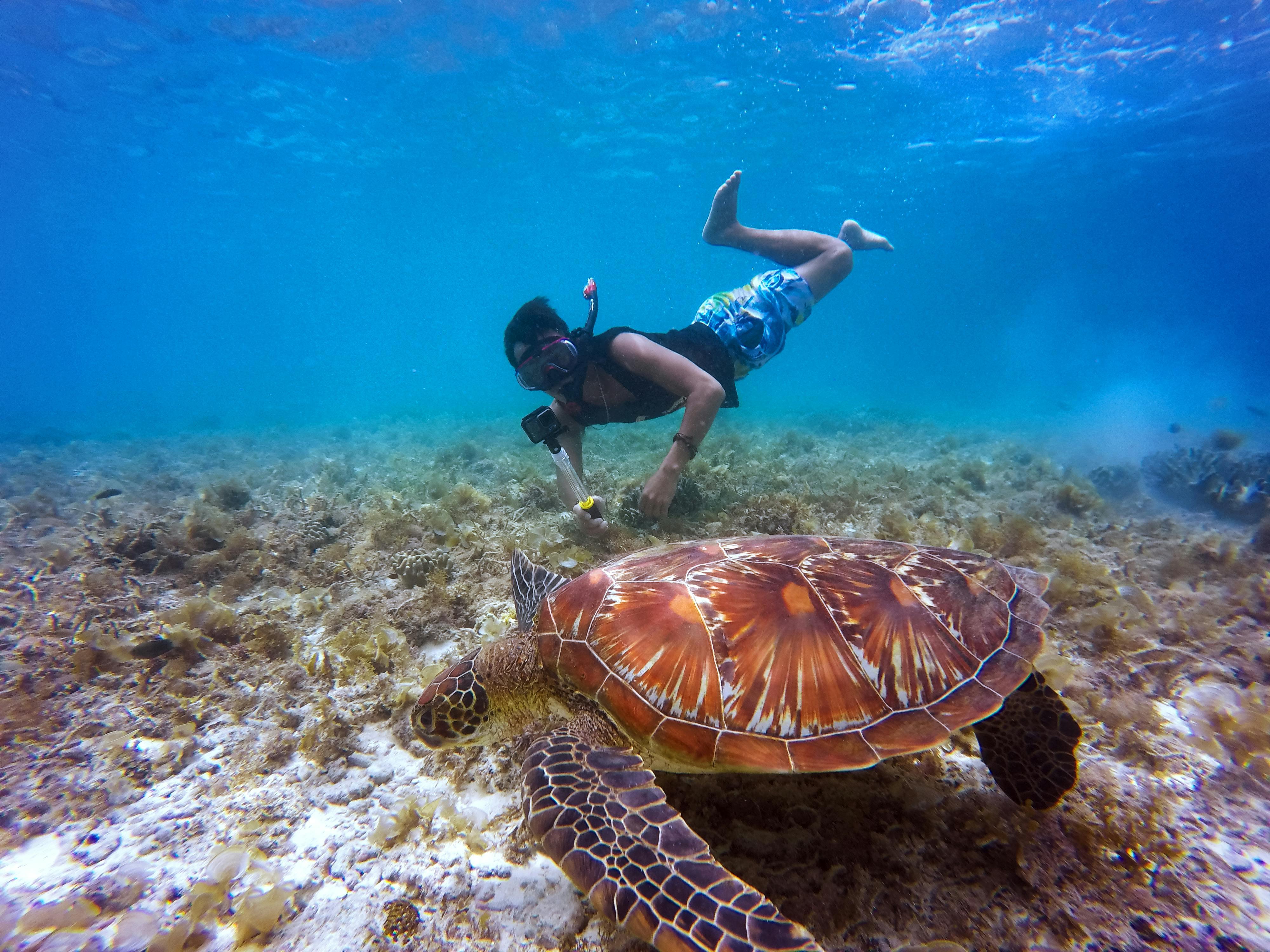 Cape Vidal Snorkeling & iSimangaliso Wildlife Safari