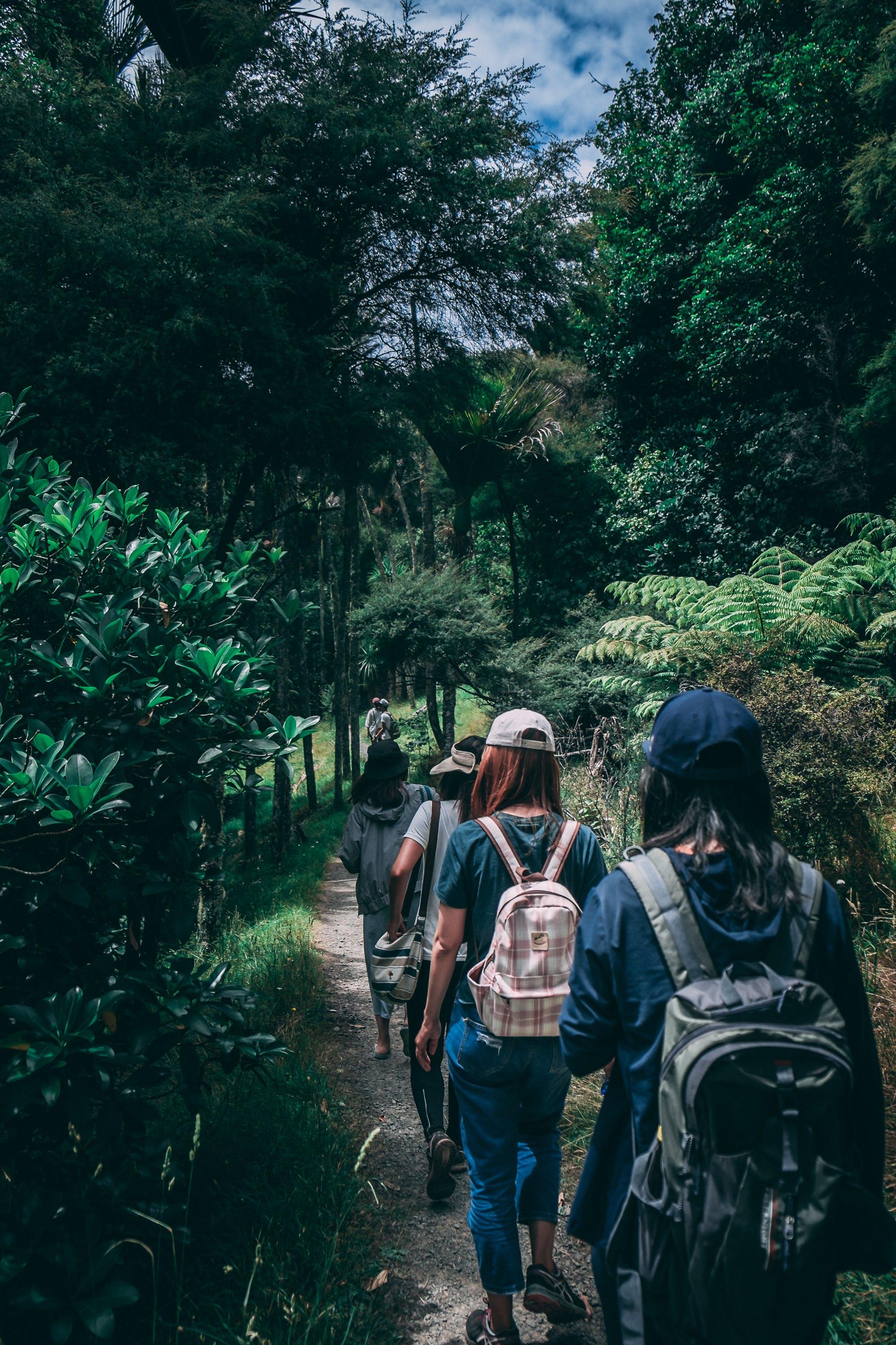 Karura Forest Nature Hiking Expedition