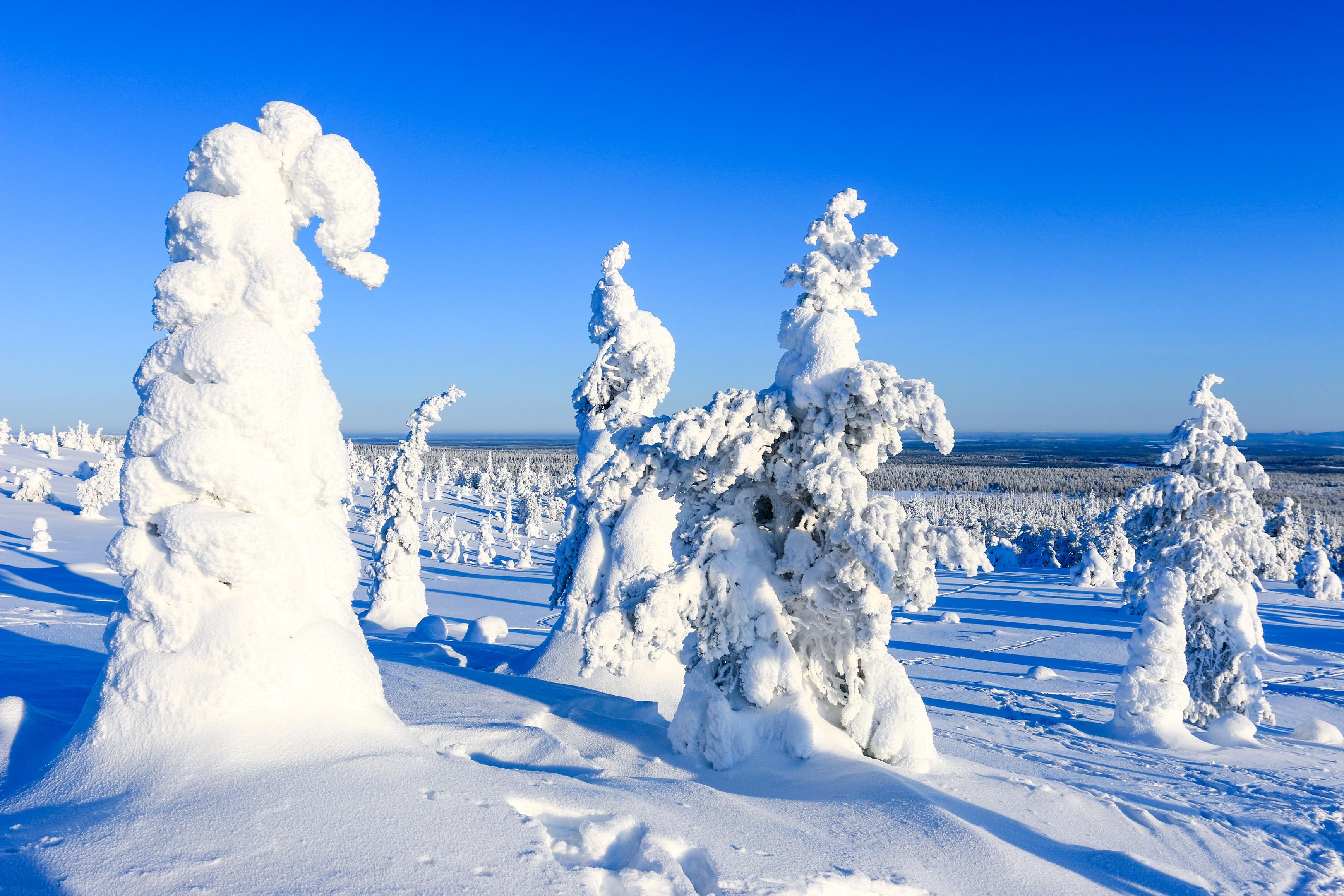 Riisitunturi National Park Winter Adventure with Campfire Lunch