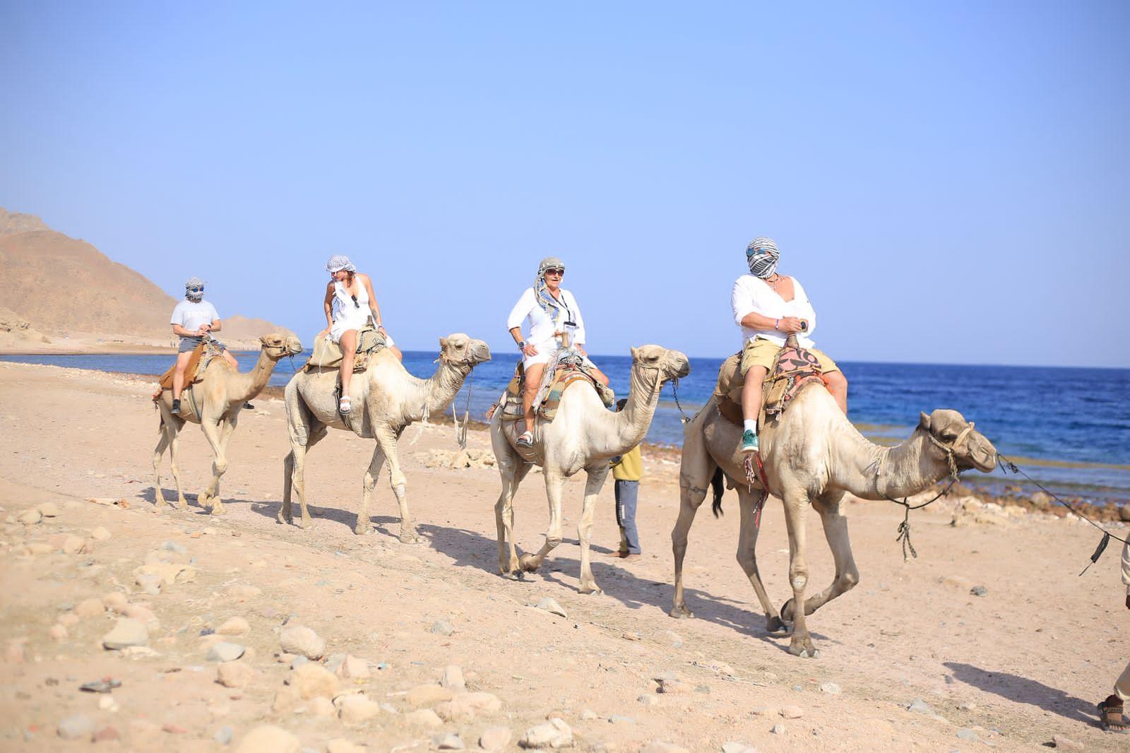 Sinai Desert & Dahab Full-Day Adventure from Sharm El Sheikh