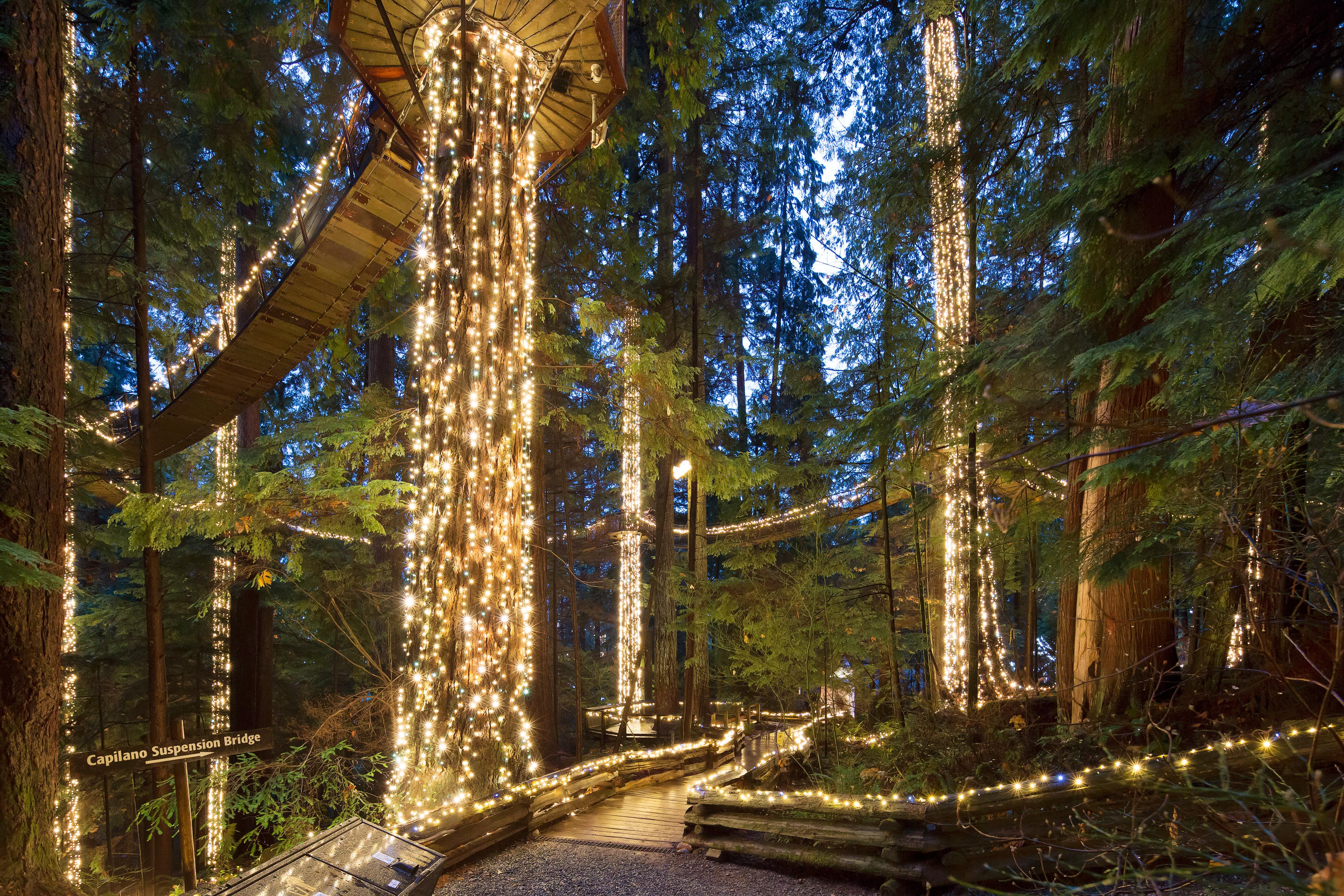 Capilano Suspension Bridge Park Entry