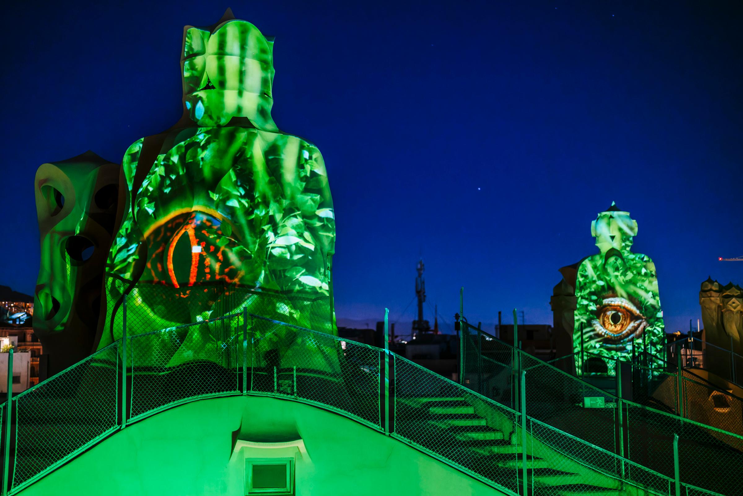 Barcelona: La Pedrera Night Experience