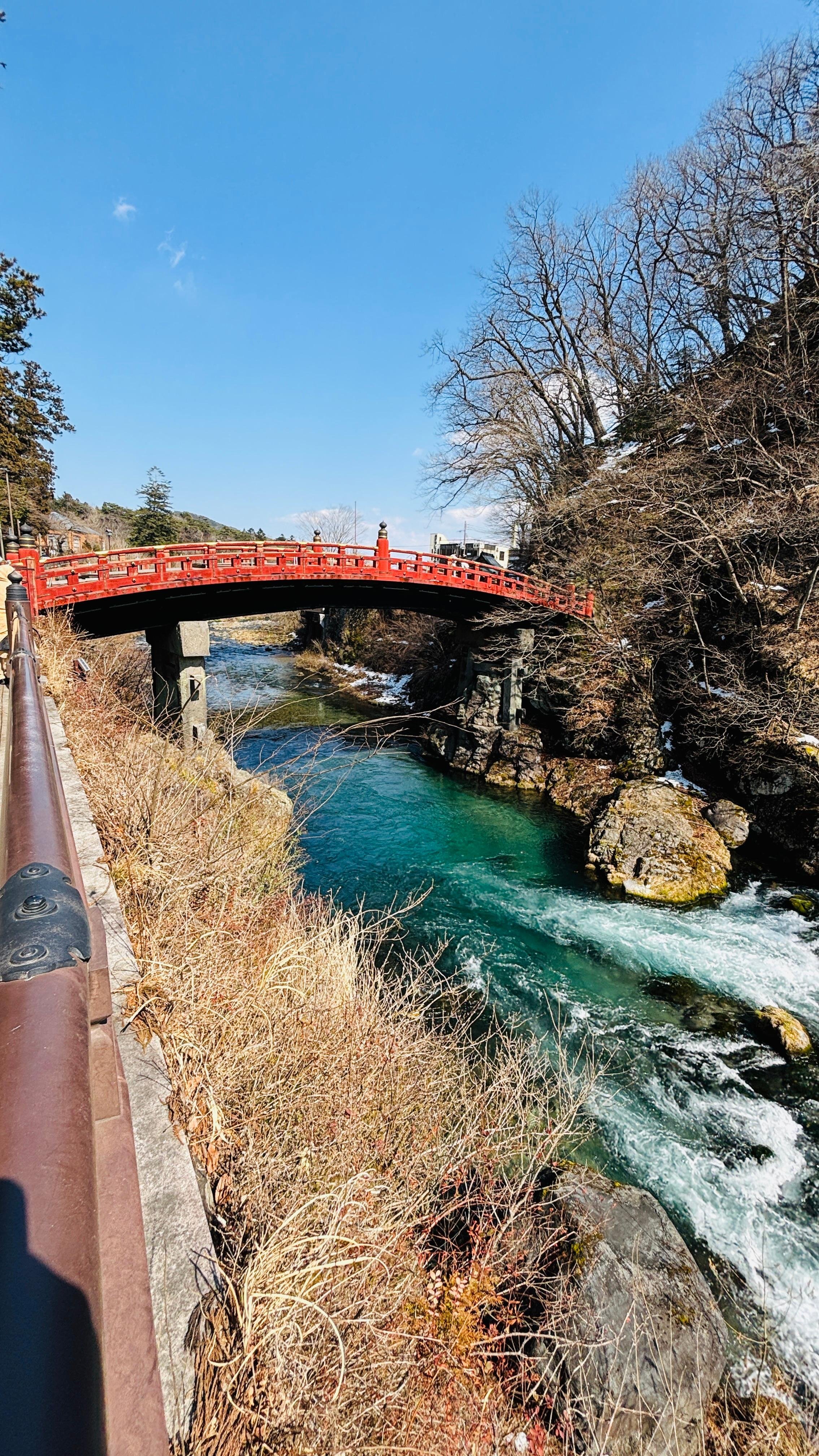 Nikko Hidden Waterfalls, Shrines & Forest Day Tour