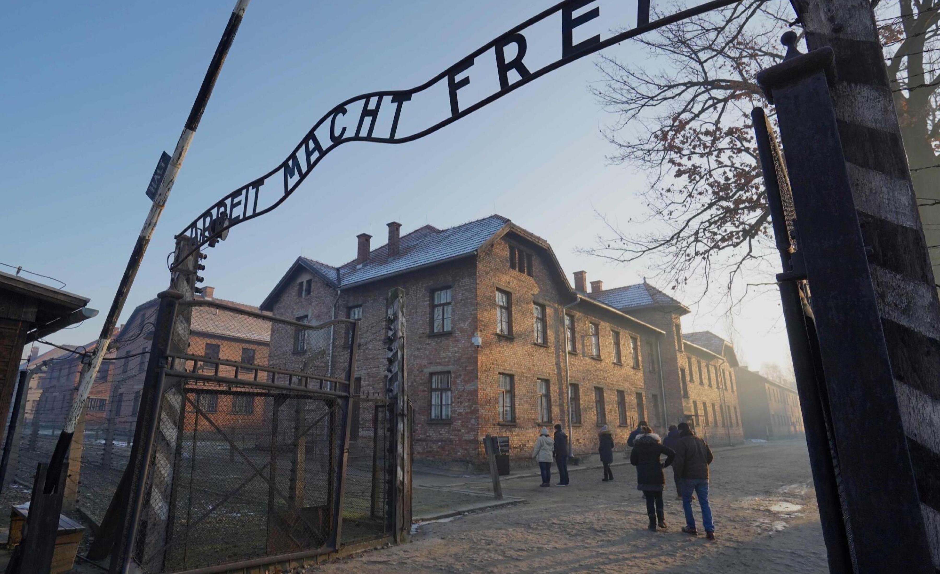 Krakow: Auschwitz-Birkenau Memorial Private Transfer Tour