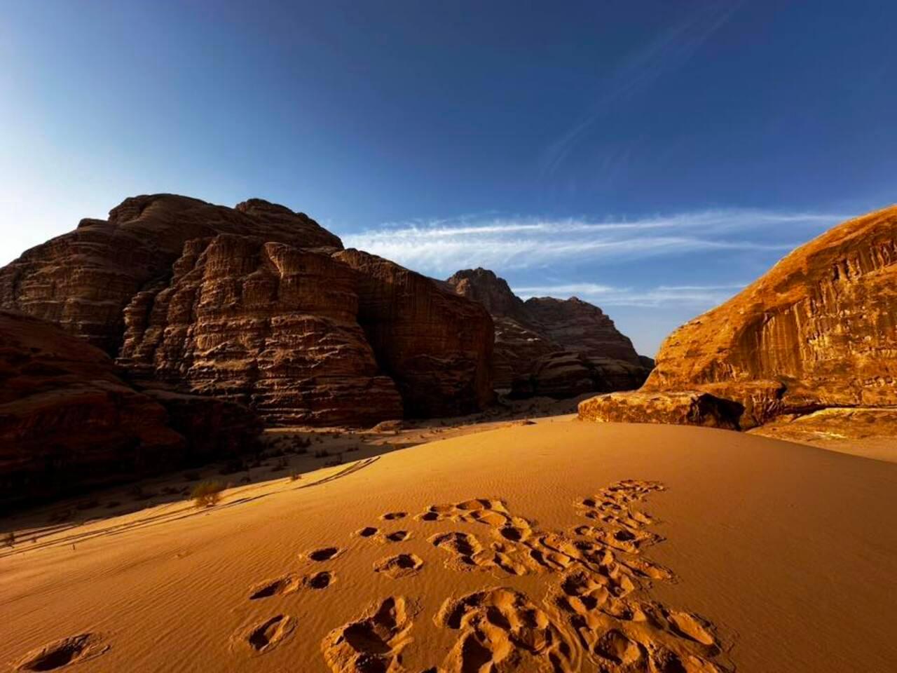 Petra & Wadi Rum: One-Day Private or Group Journey