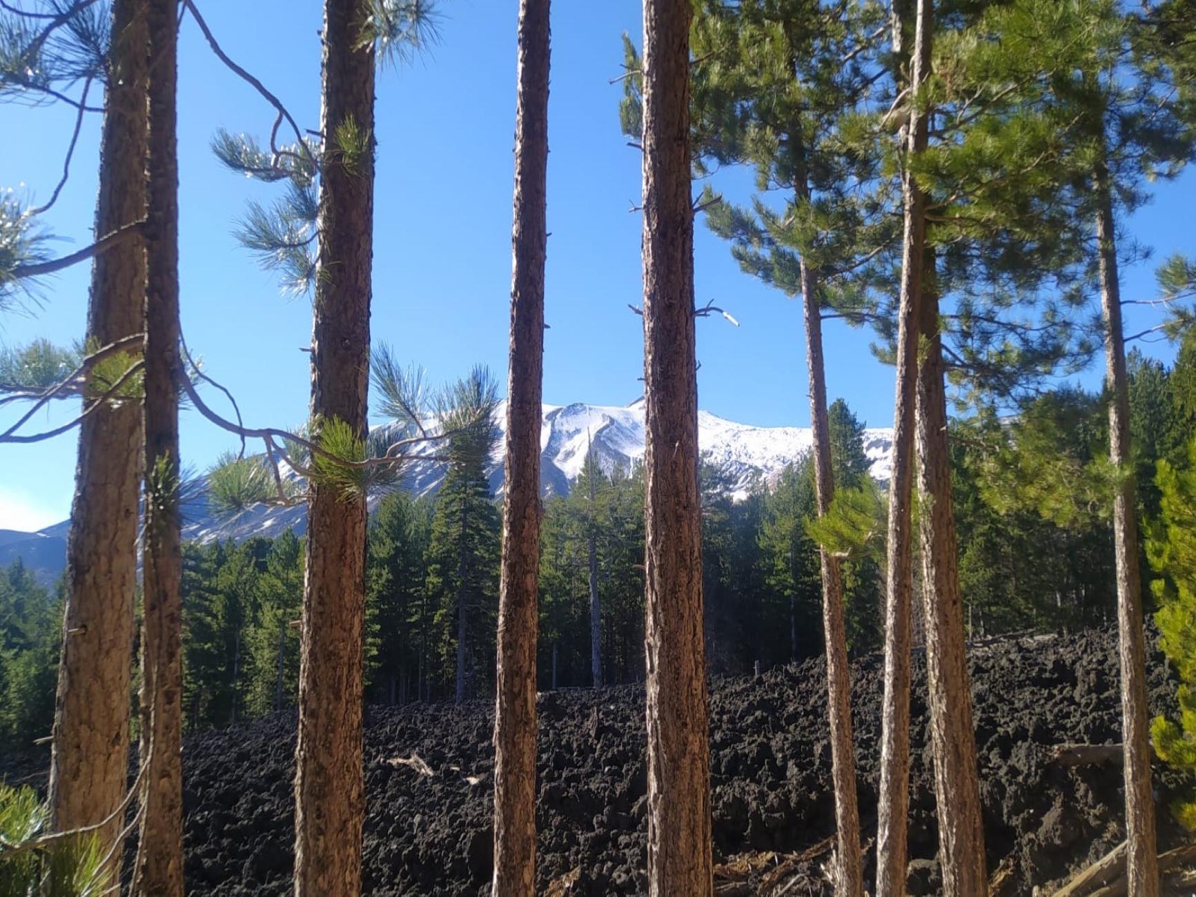 Etna Volcano Hike & Winery Tasting from Taormina