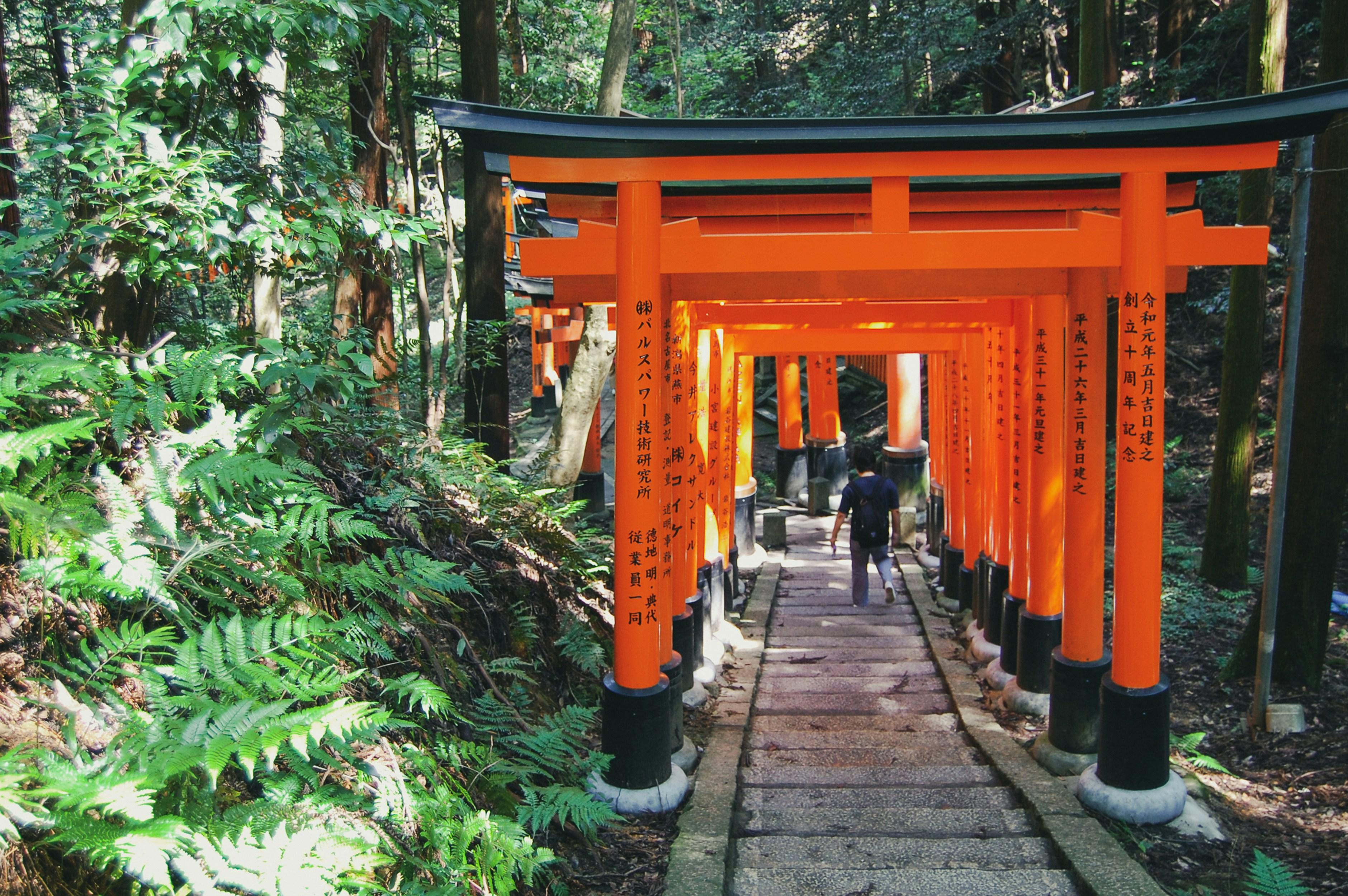 Kyoto Early Bird: Fushimi Inari, Nijo Castle & Kinkaku-ji