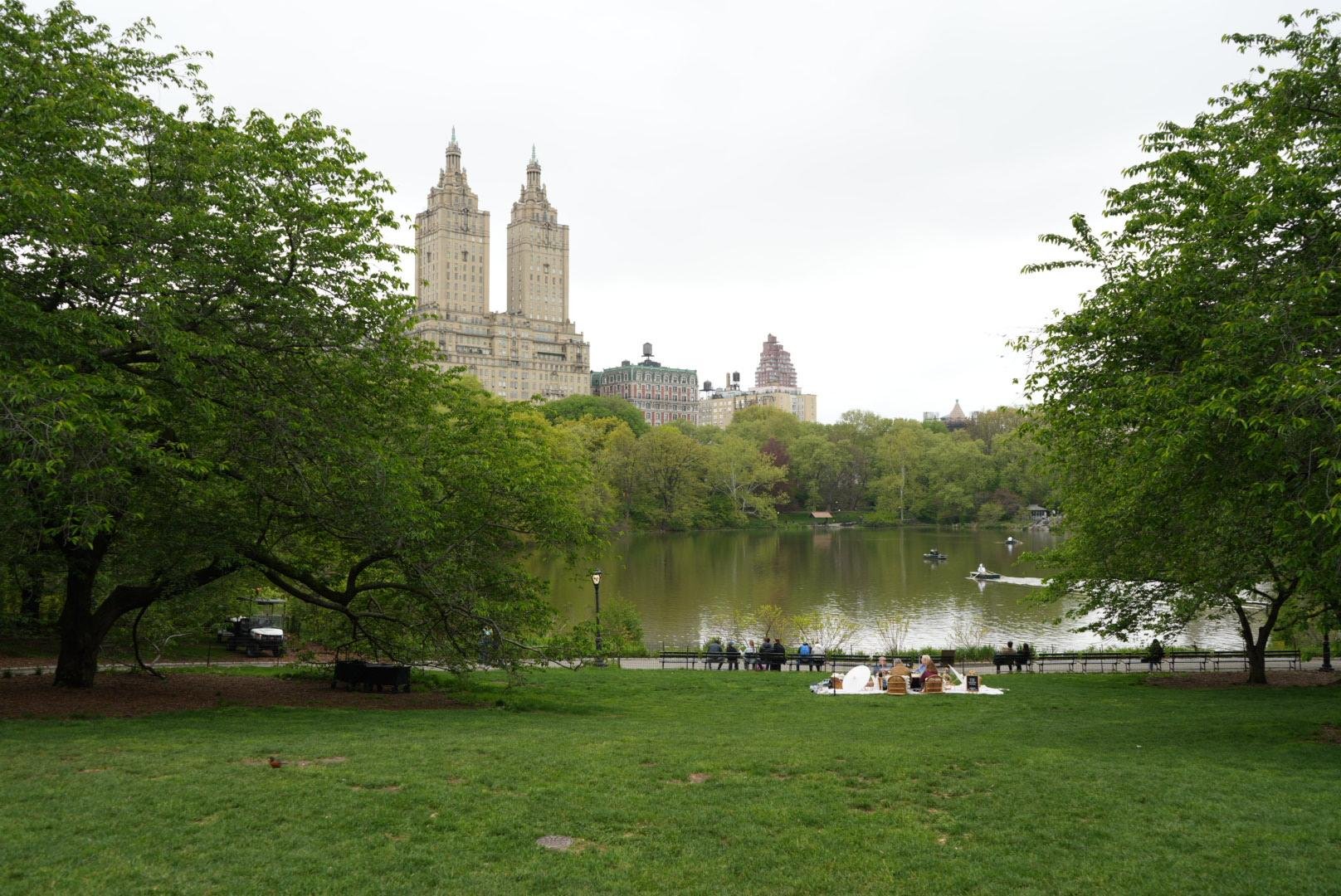 Central Park Exploration by Pedicab or Carriage