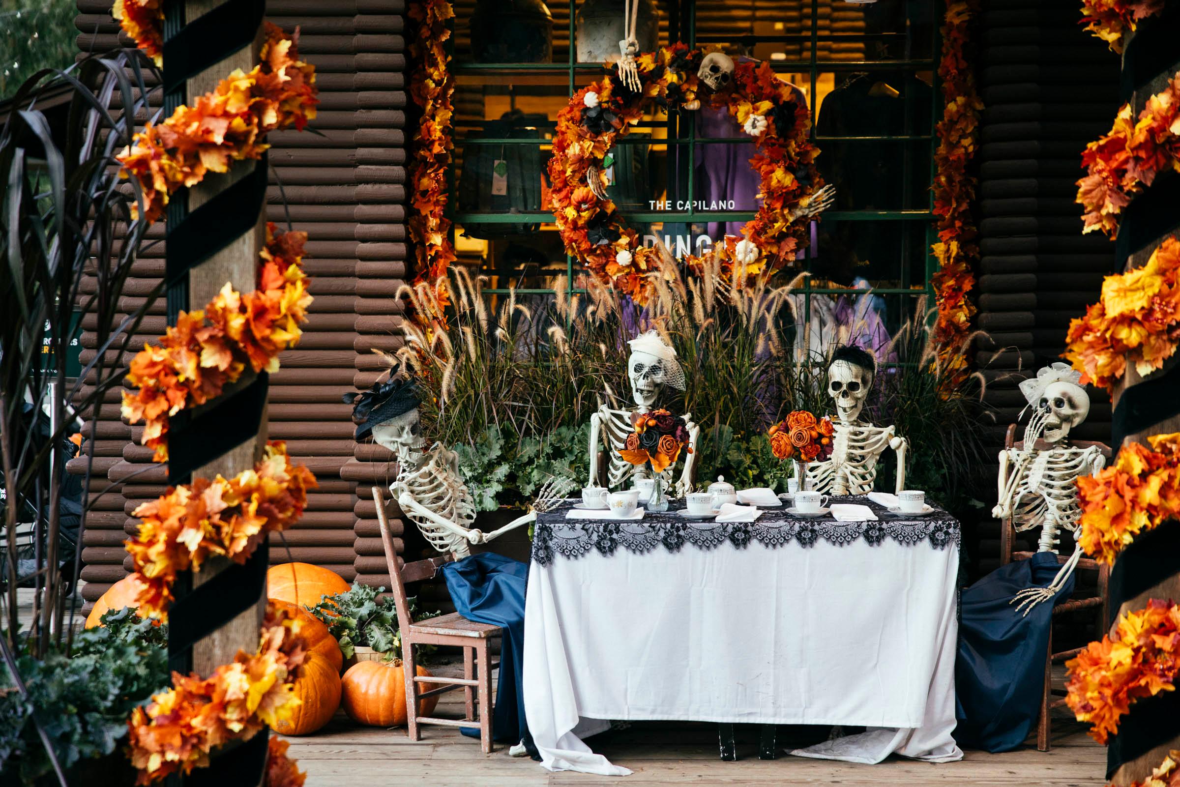 Capilano Canyon Halloween & Vancouver Twilight Private Tour