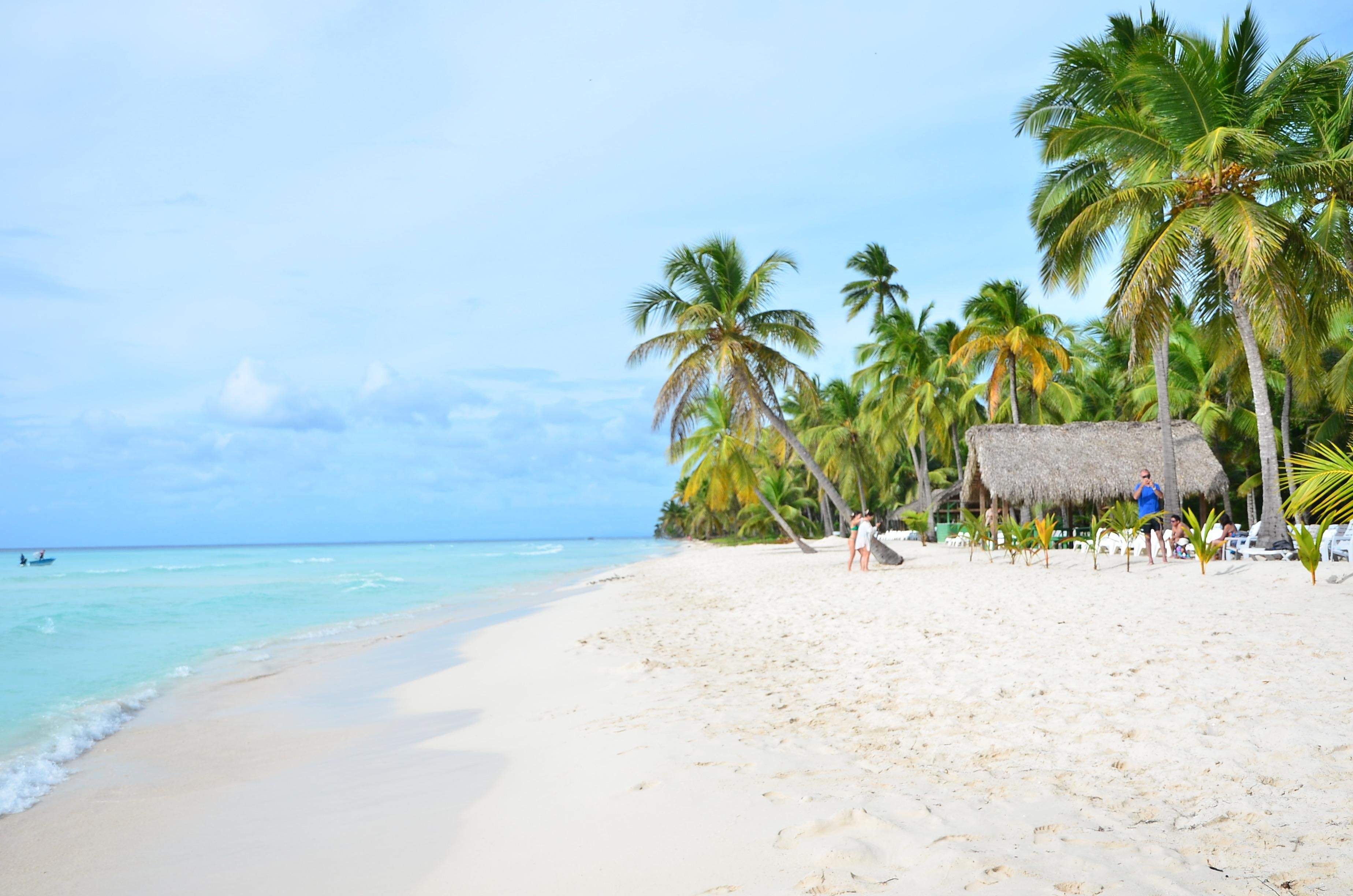 Punta Cana: Saona Island Escape by Catamaran with Lunch & Open Bar