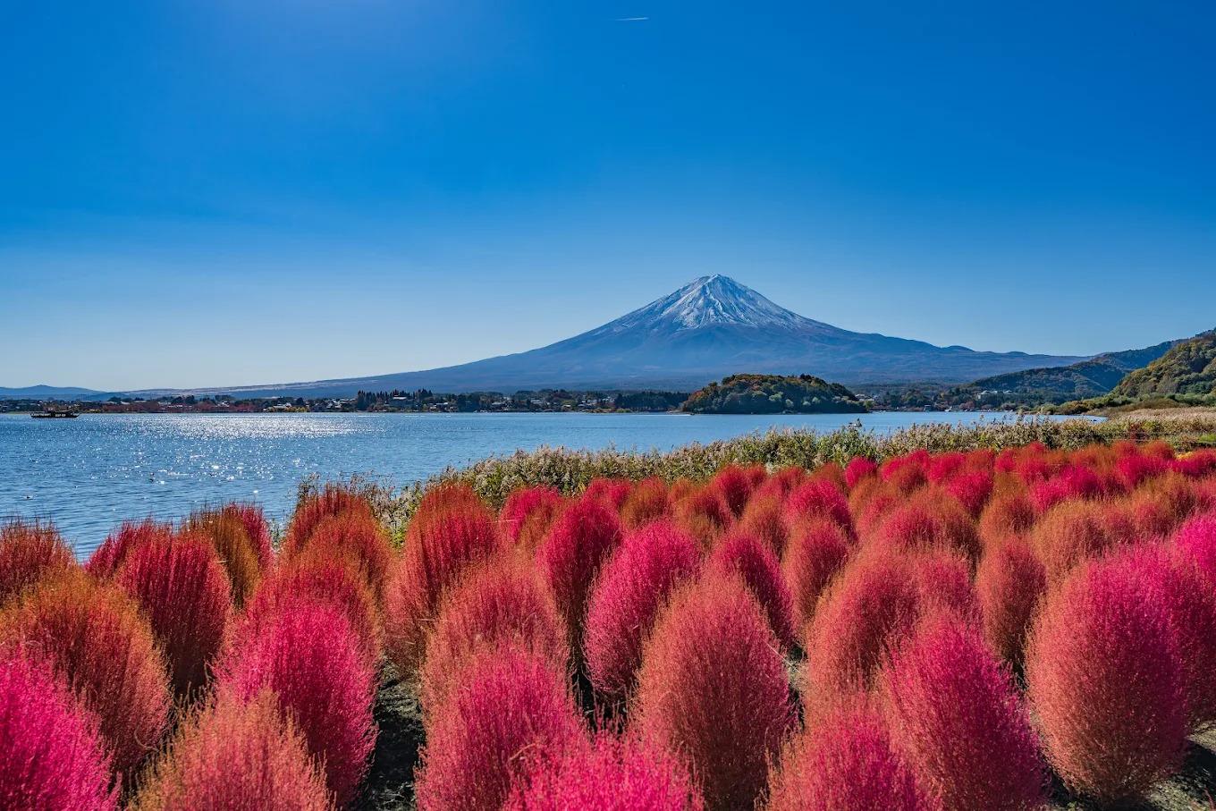 Private Mt. Fuji Day Tour from Tokyo