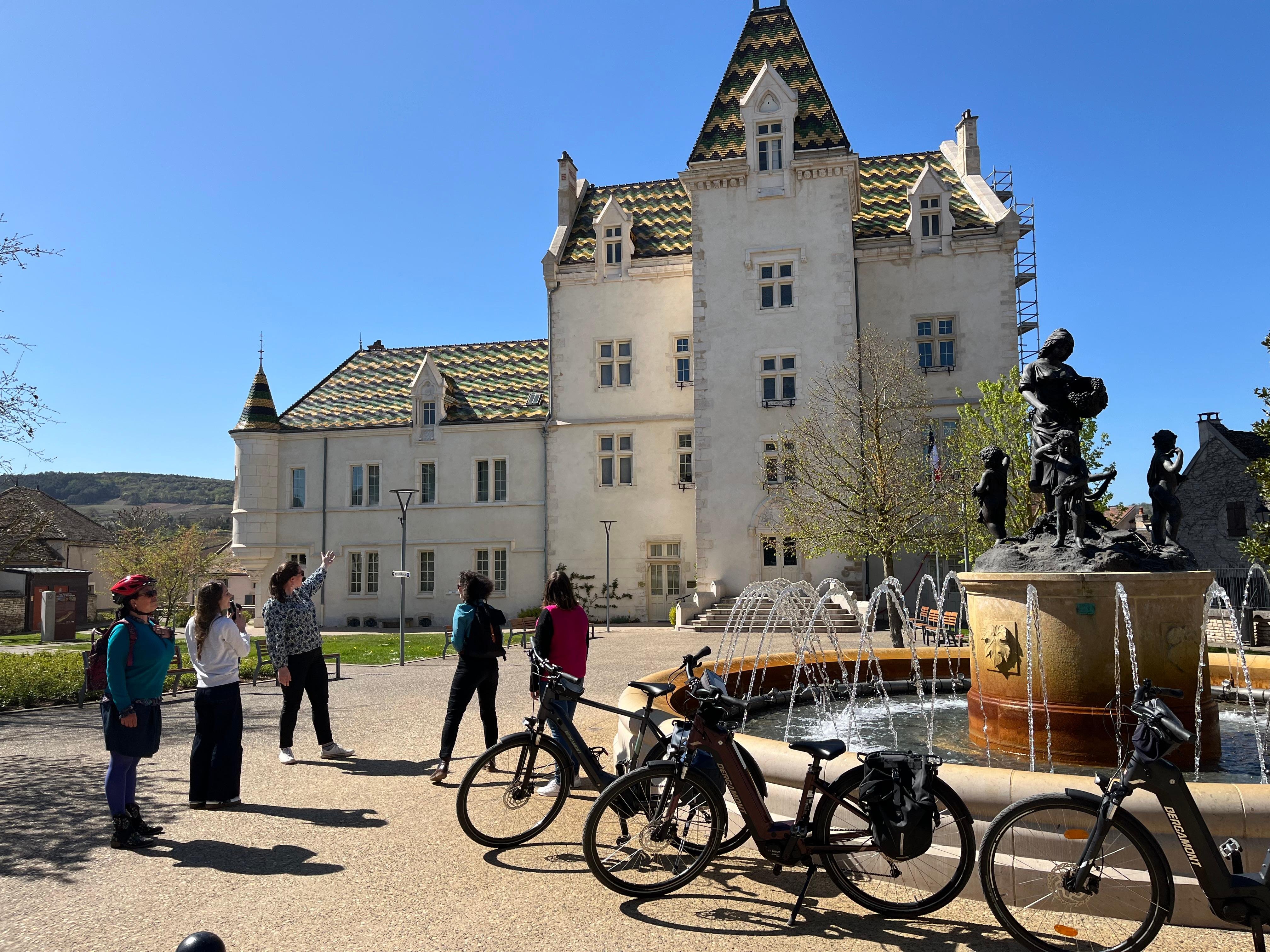 Full-Day E-Bike Wine Tour Through Burgundy's Côte de Beaune