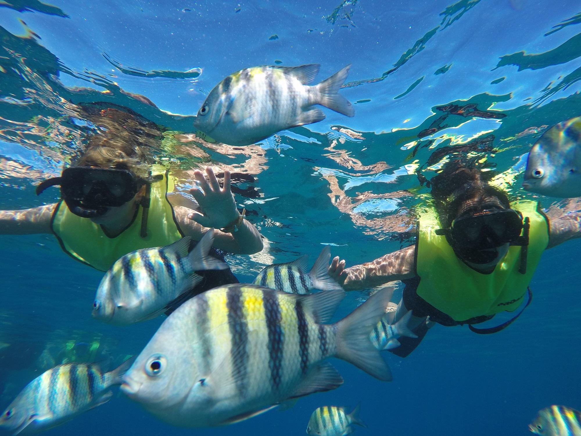 Puerto Plata Catamaran Sailing & Snorkeling Adventure