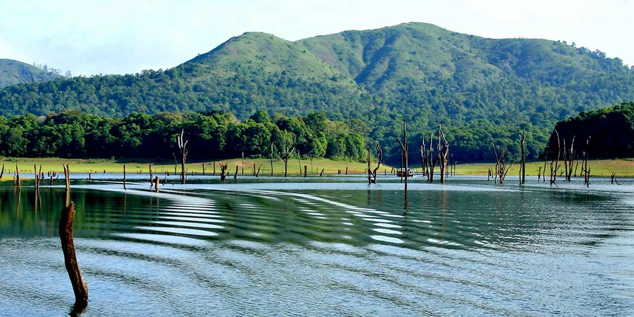 3-Day Periyar Wildlife Sanctuary Expedition from Kochi