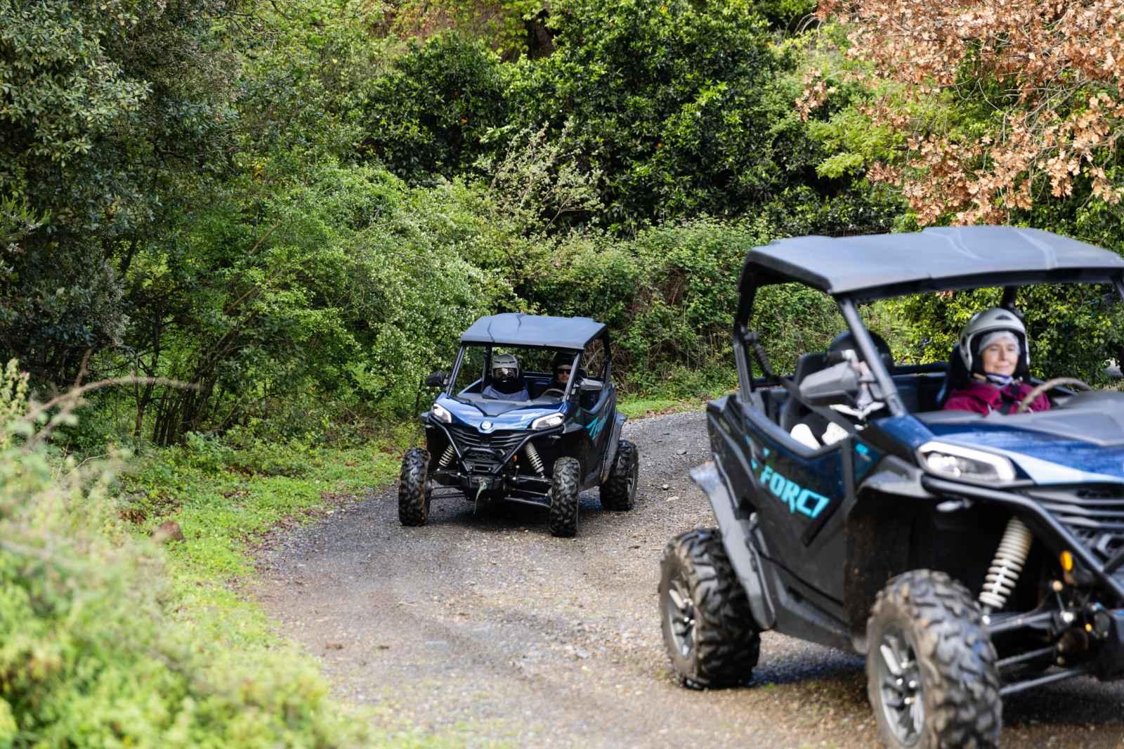 Half-Day Mountain Buggy Safari from Rethymno