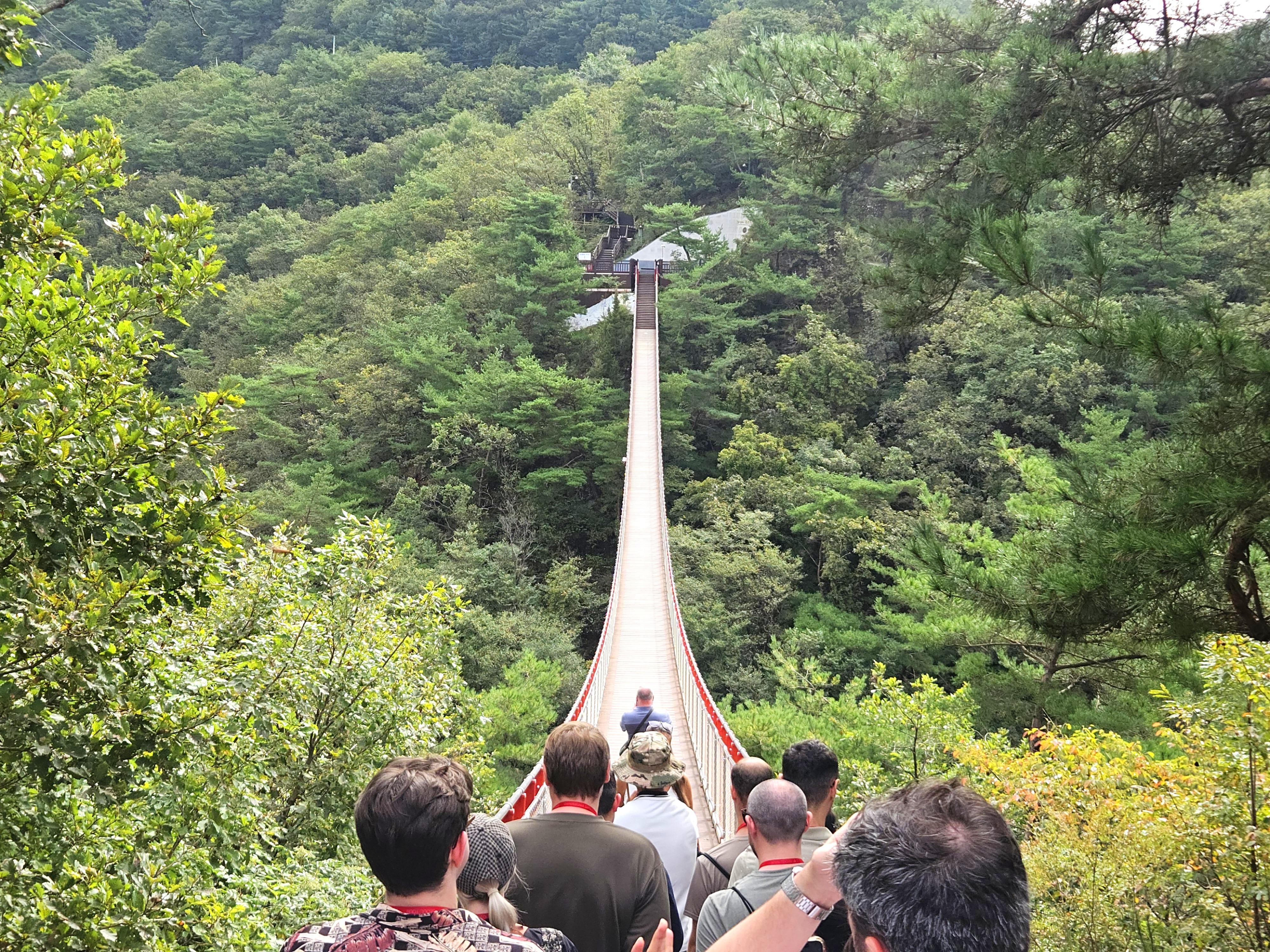 Seoul DMZ Tour: Tunnels, Observatory & Optional Extras