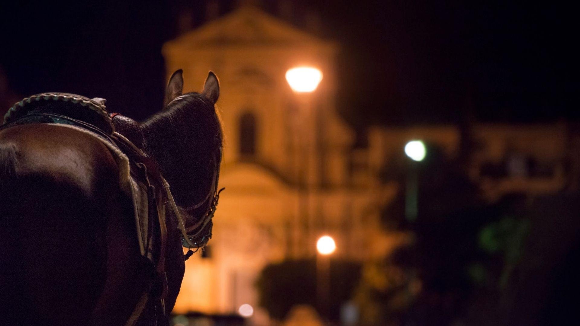 Palermo After Dark: Ghost Tales, Crime & Sicilian Bites