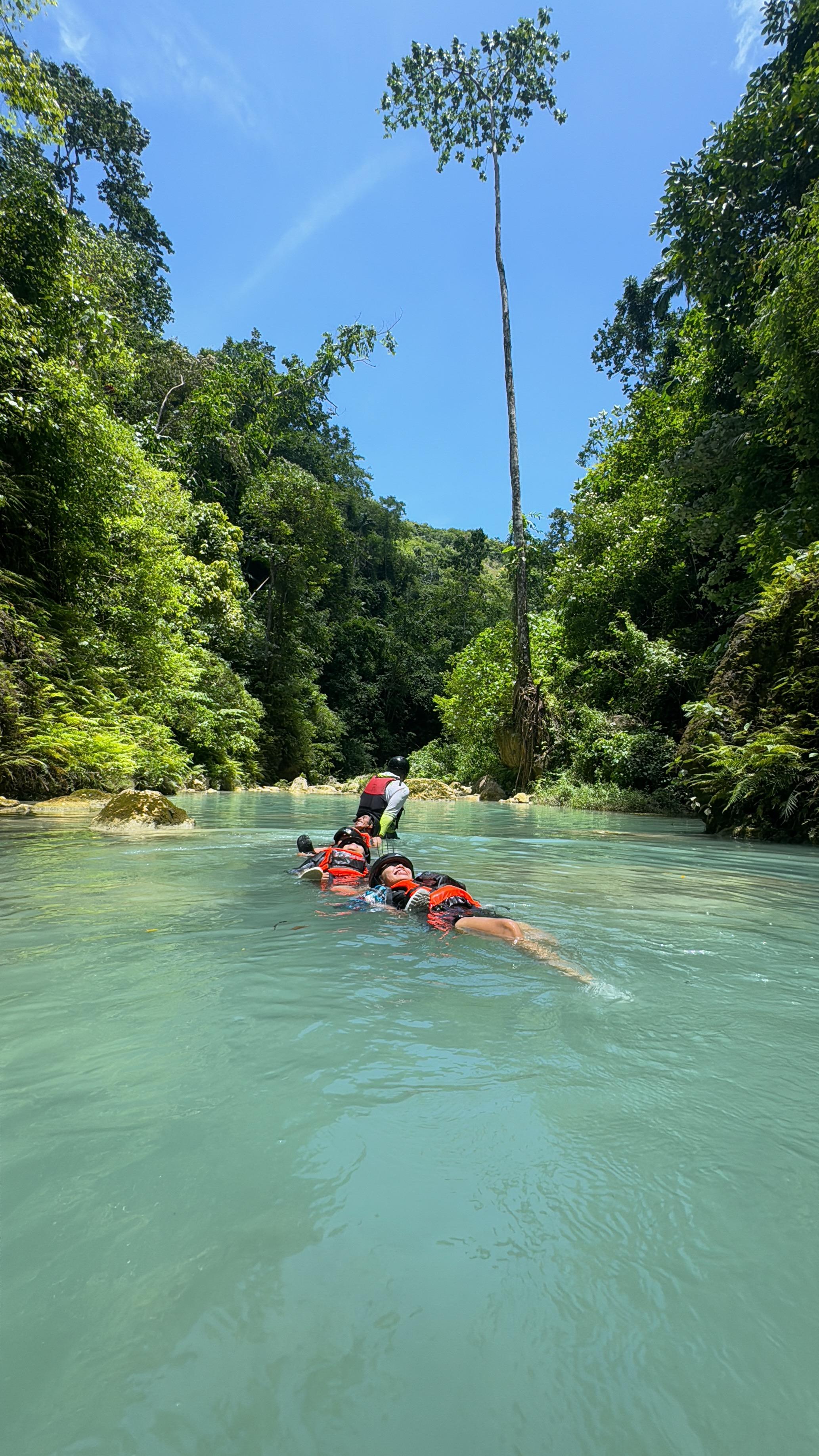 Cebu: Whale Shark Swim & Kawasan Falls Canyoneering Day Tour