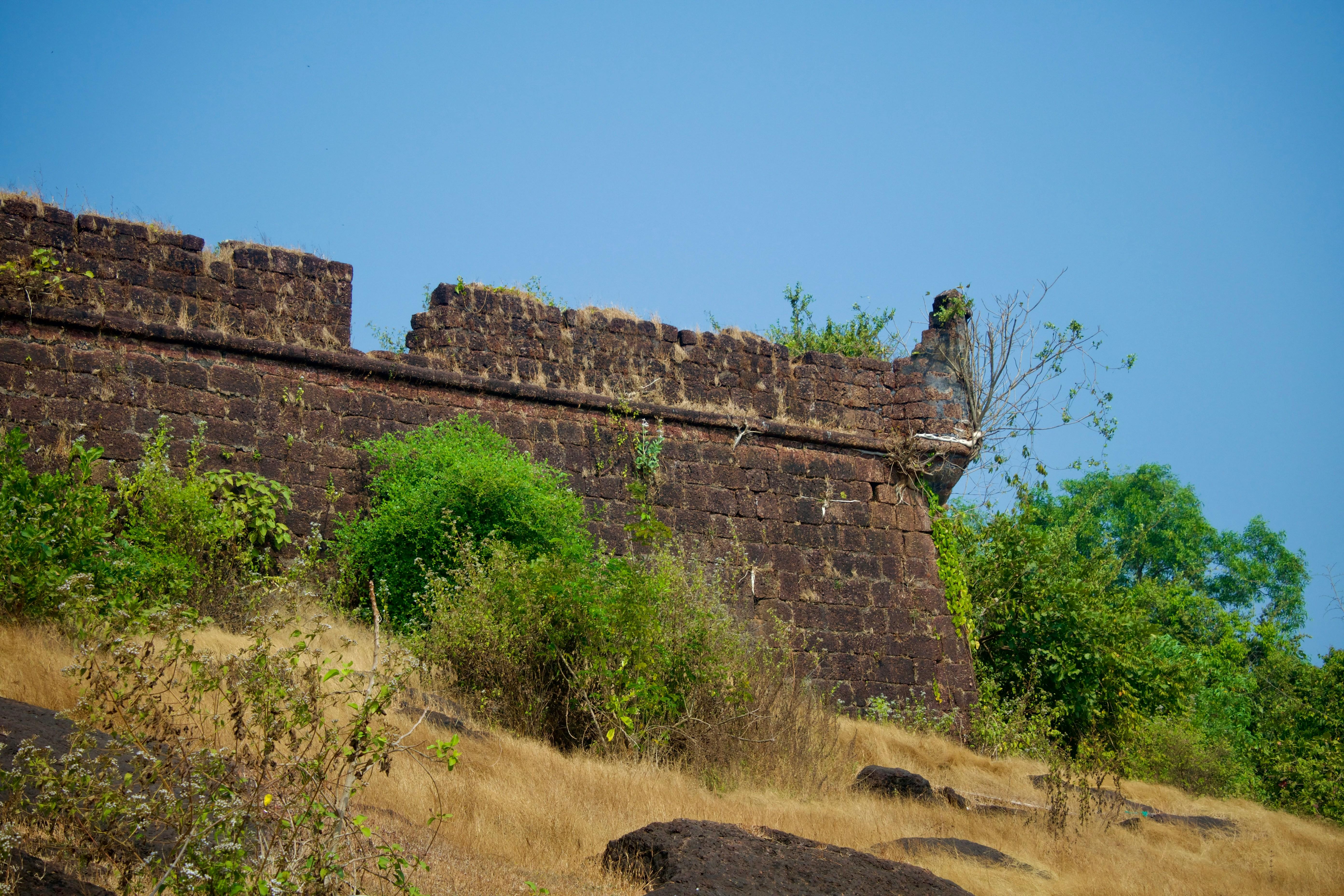 North Goa Full-Day Sightseeing Expedition