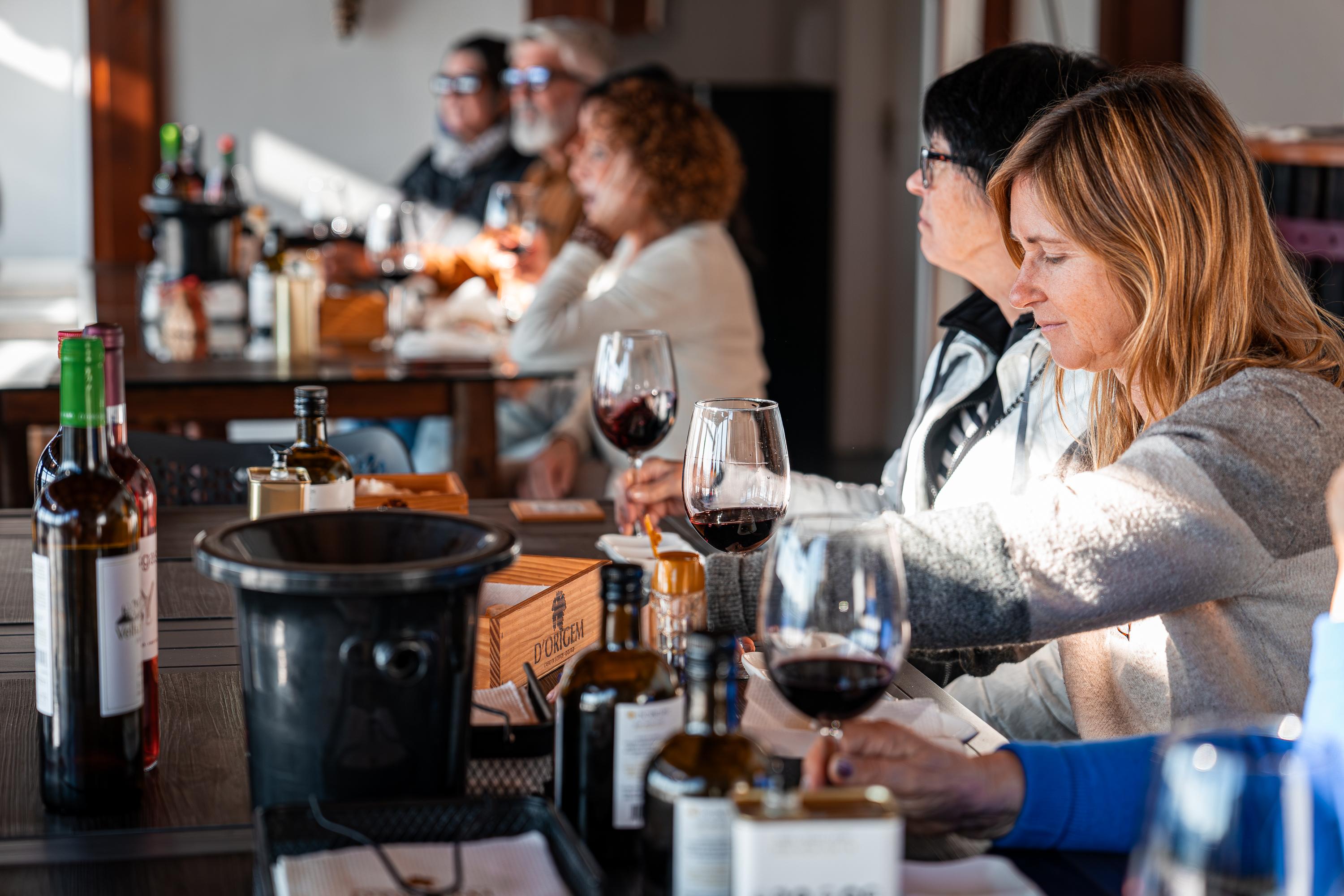 Douro Valley Wine Tour: 2 Wineries, Lunch & River Cruise